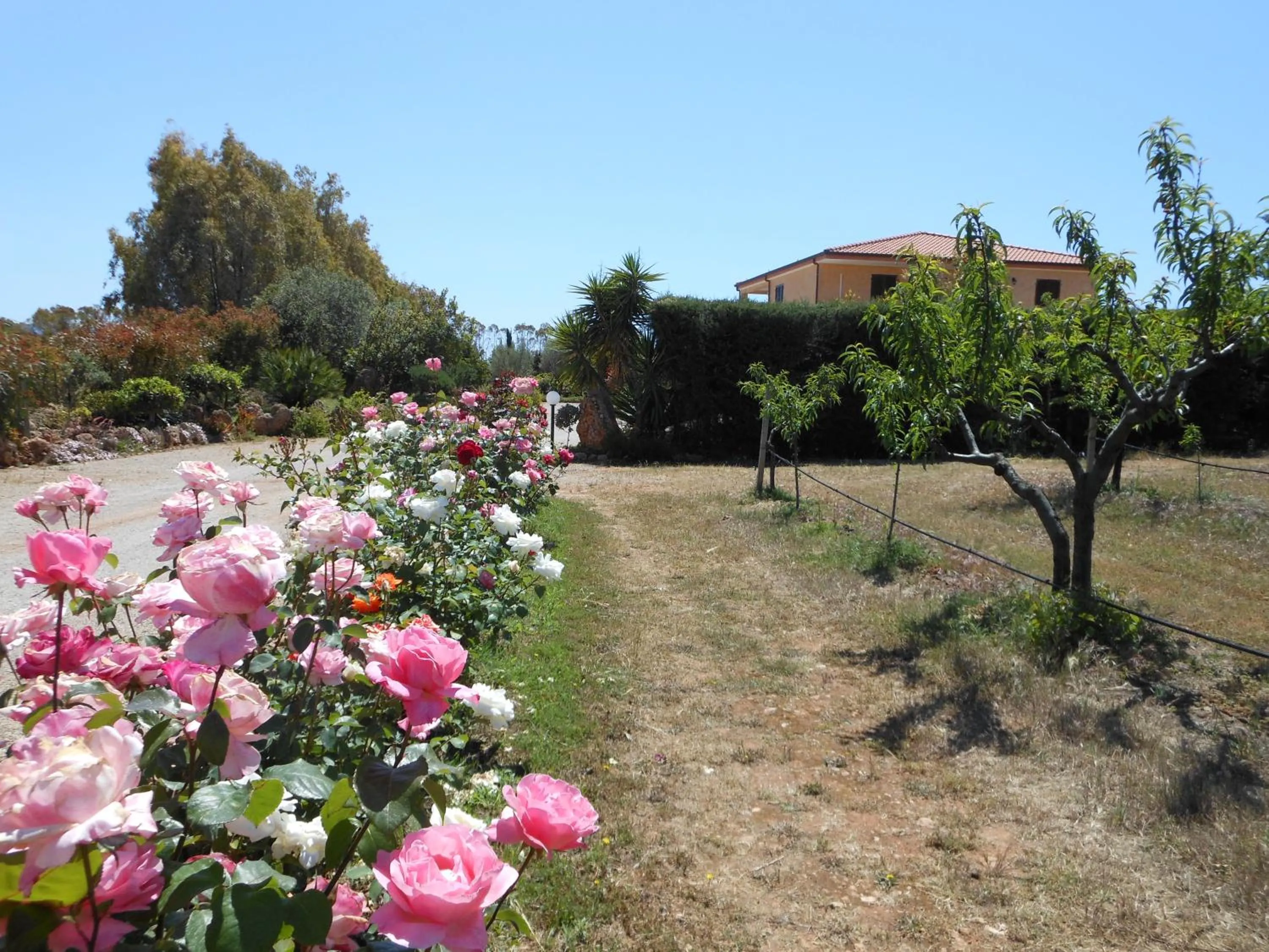 Bed and breakfast Le Camelie
