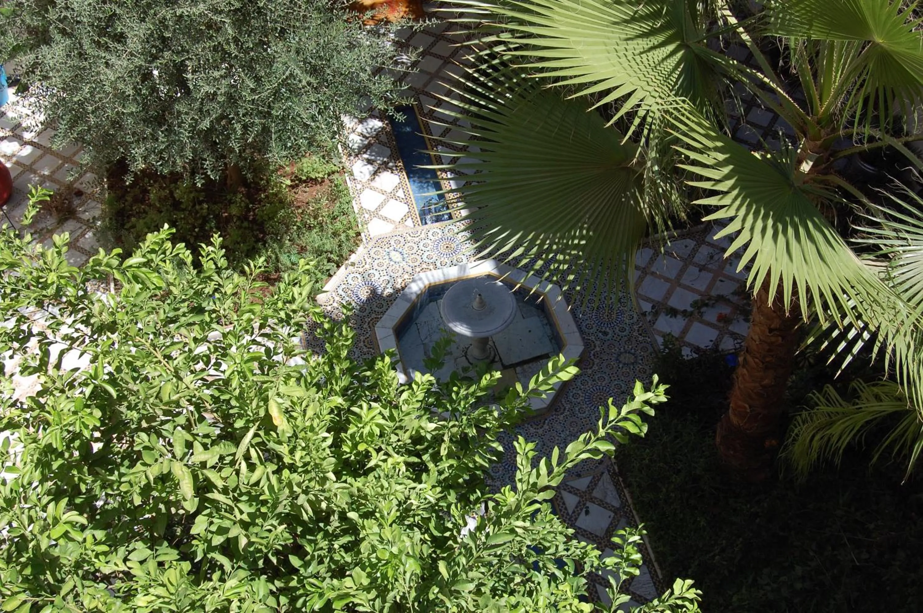 Garden in Riad L'Aziza