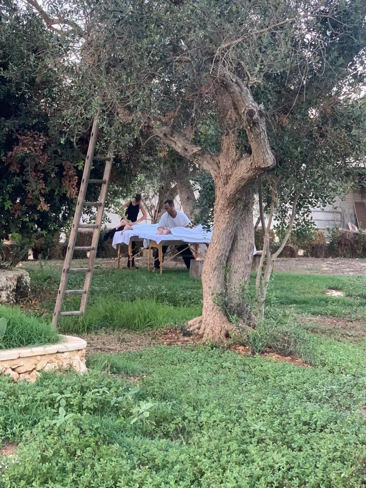Massage in Tenuta Cursano