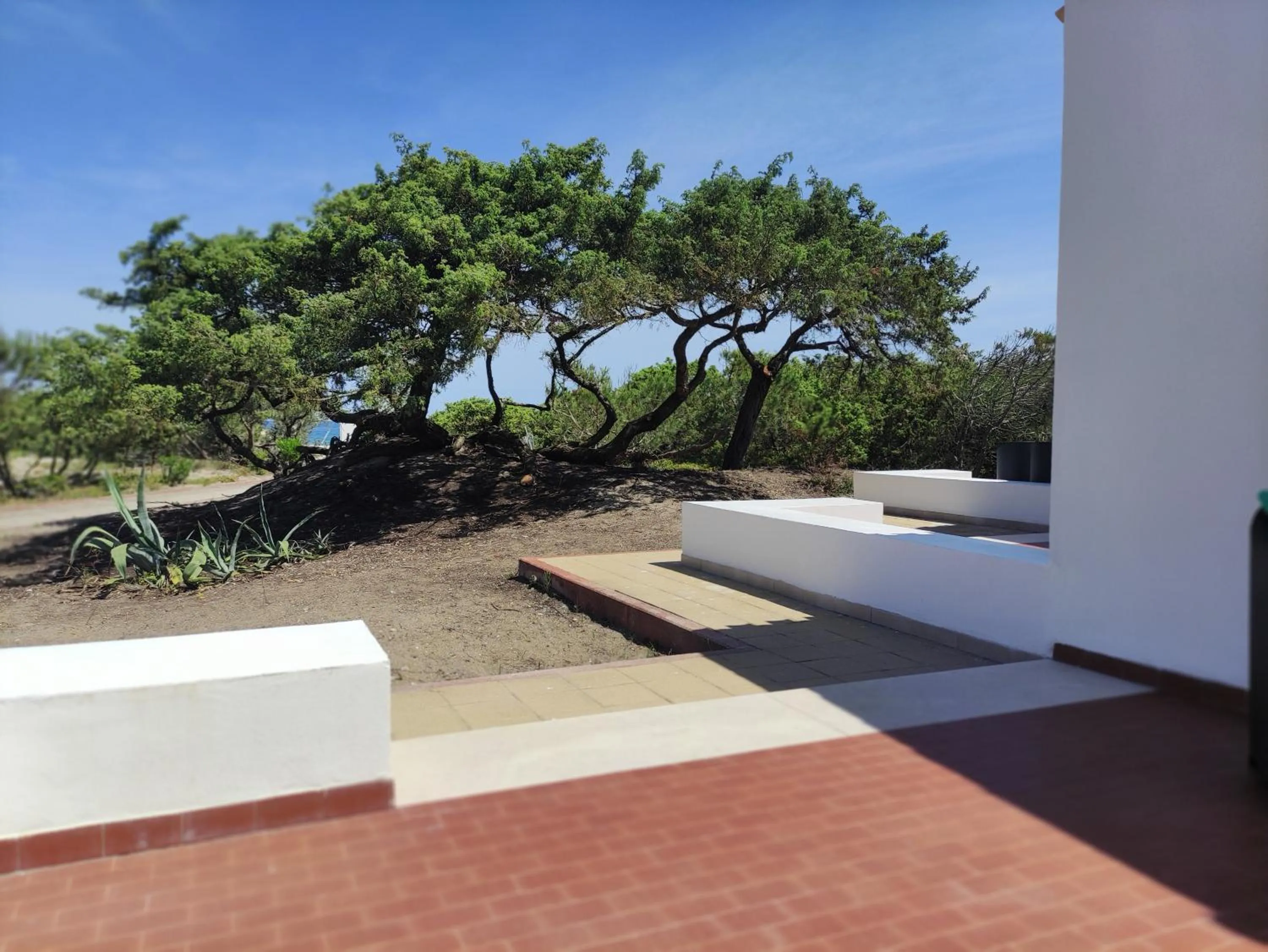 Natural landscape in Q Resort