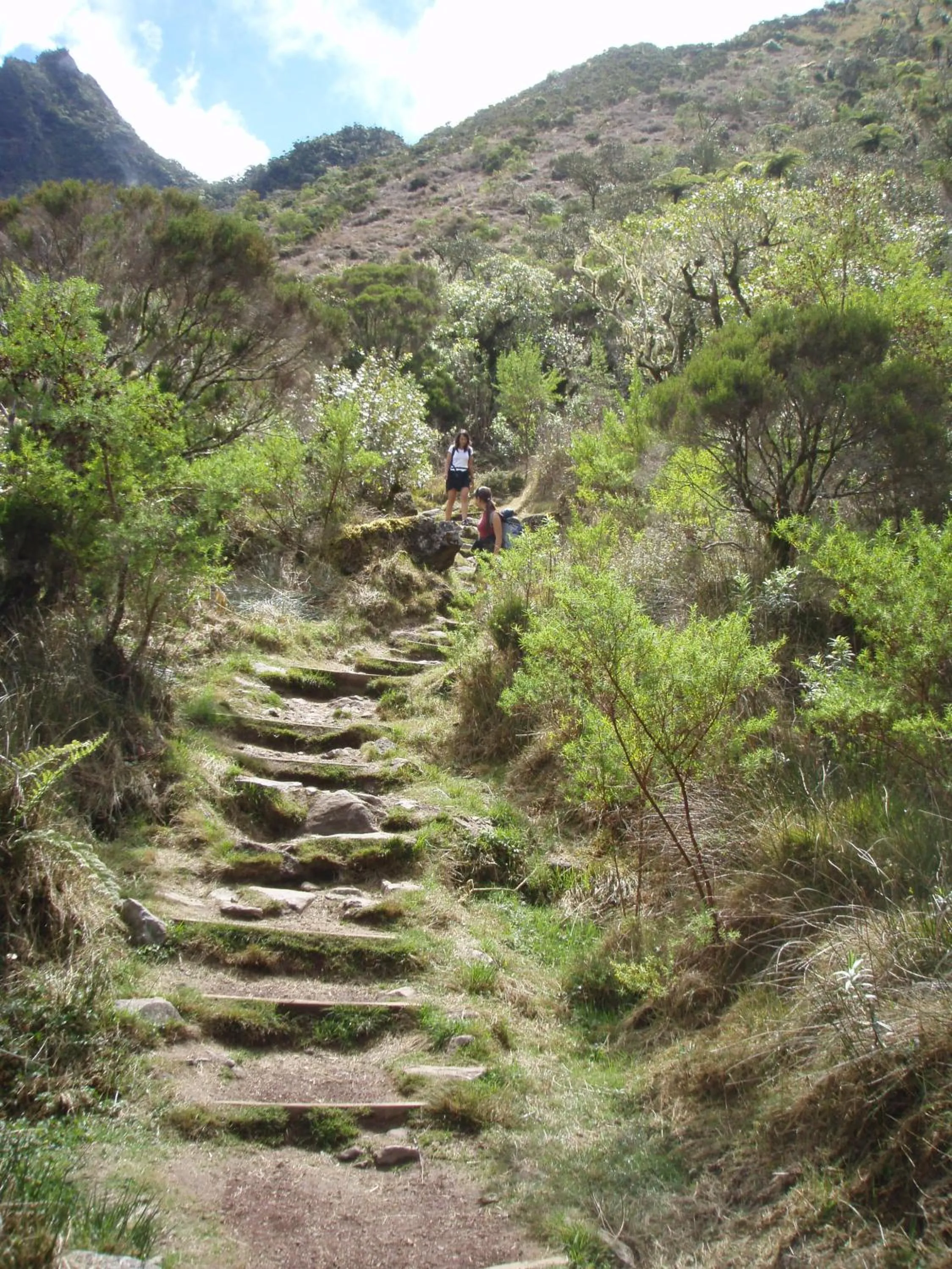 Natural landscape in Hotel Cap Sud