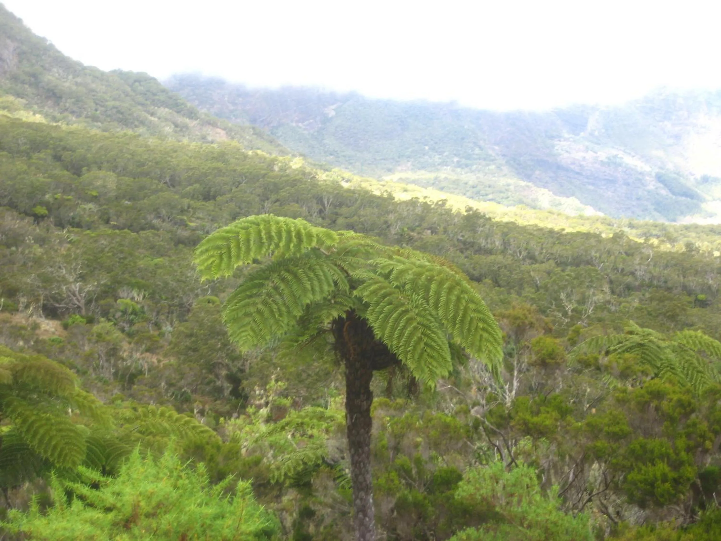 Decorative detail in Hotel Cap Sud