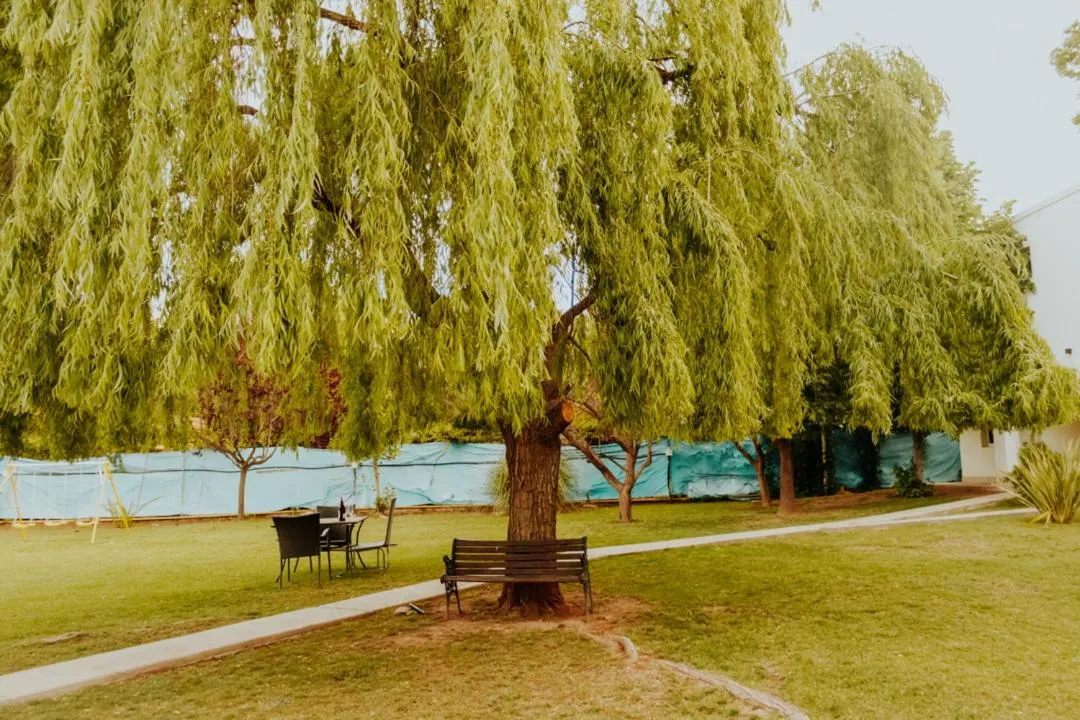 Garden in Villa Niagara