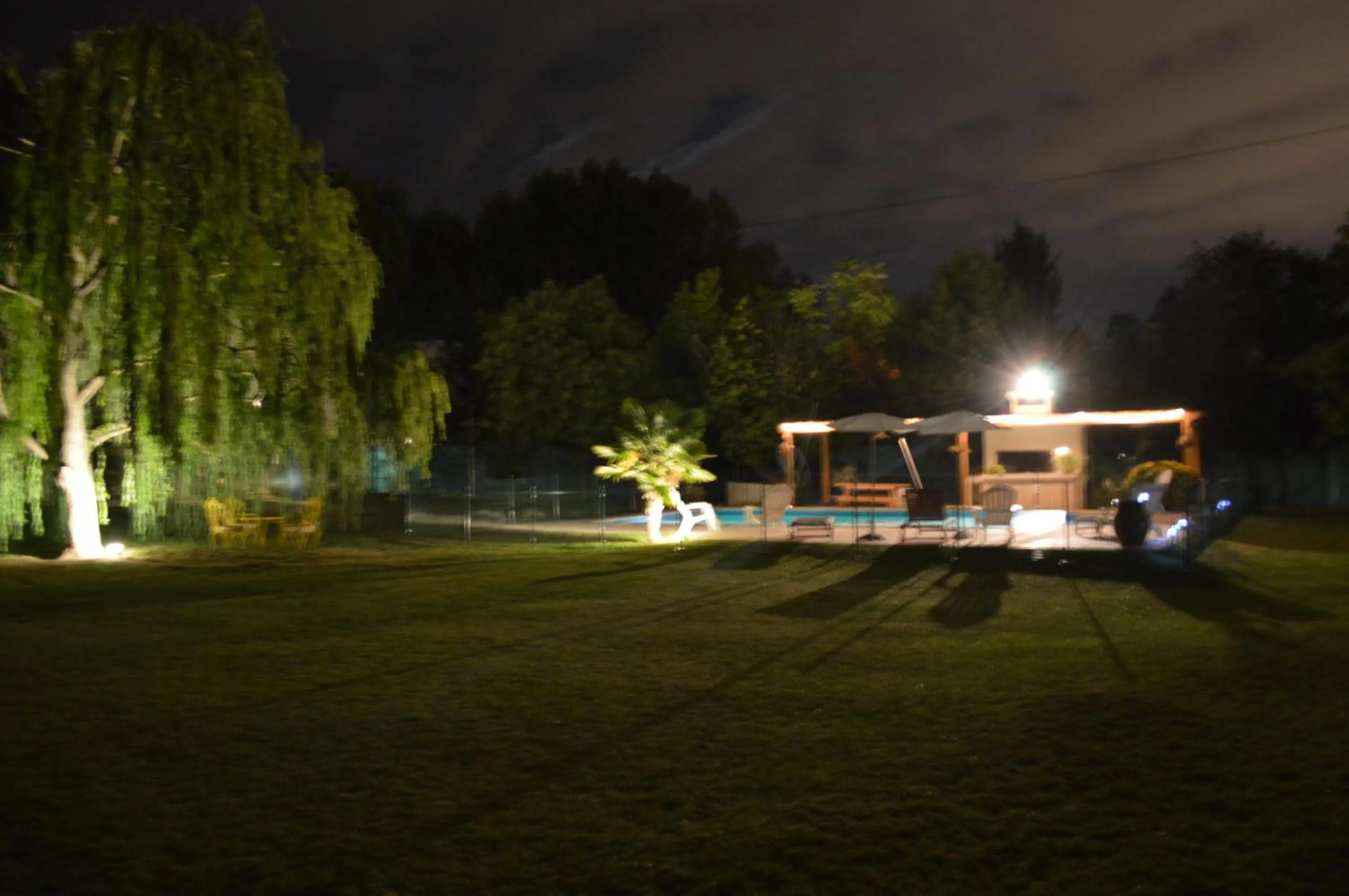Garden in Villa Niagara