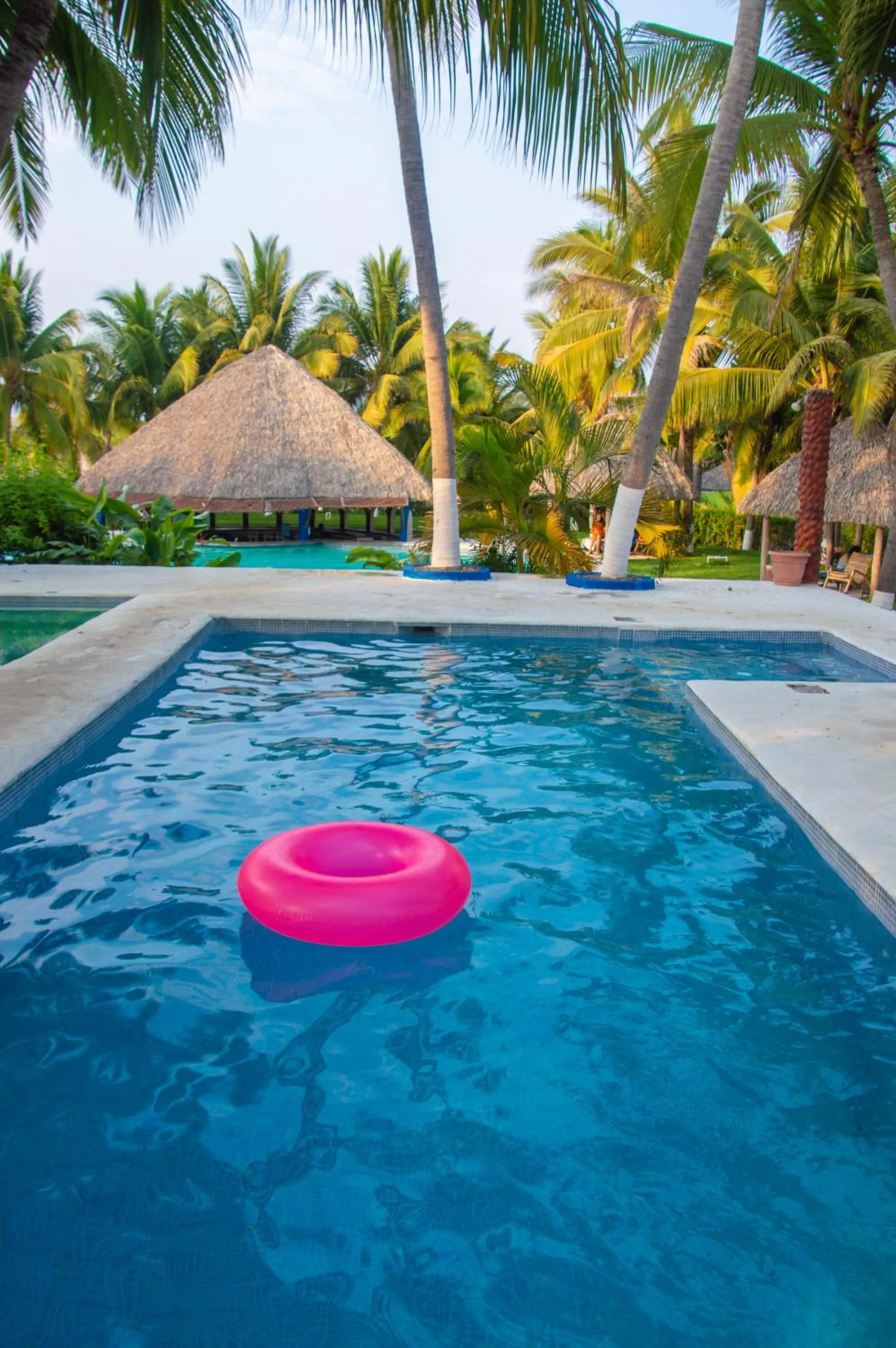 Swimming pool in Hotel Cafe del Sol