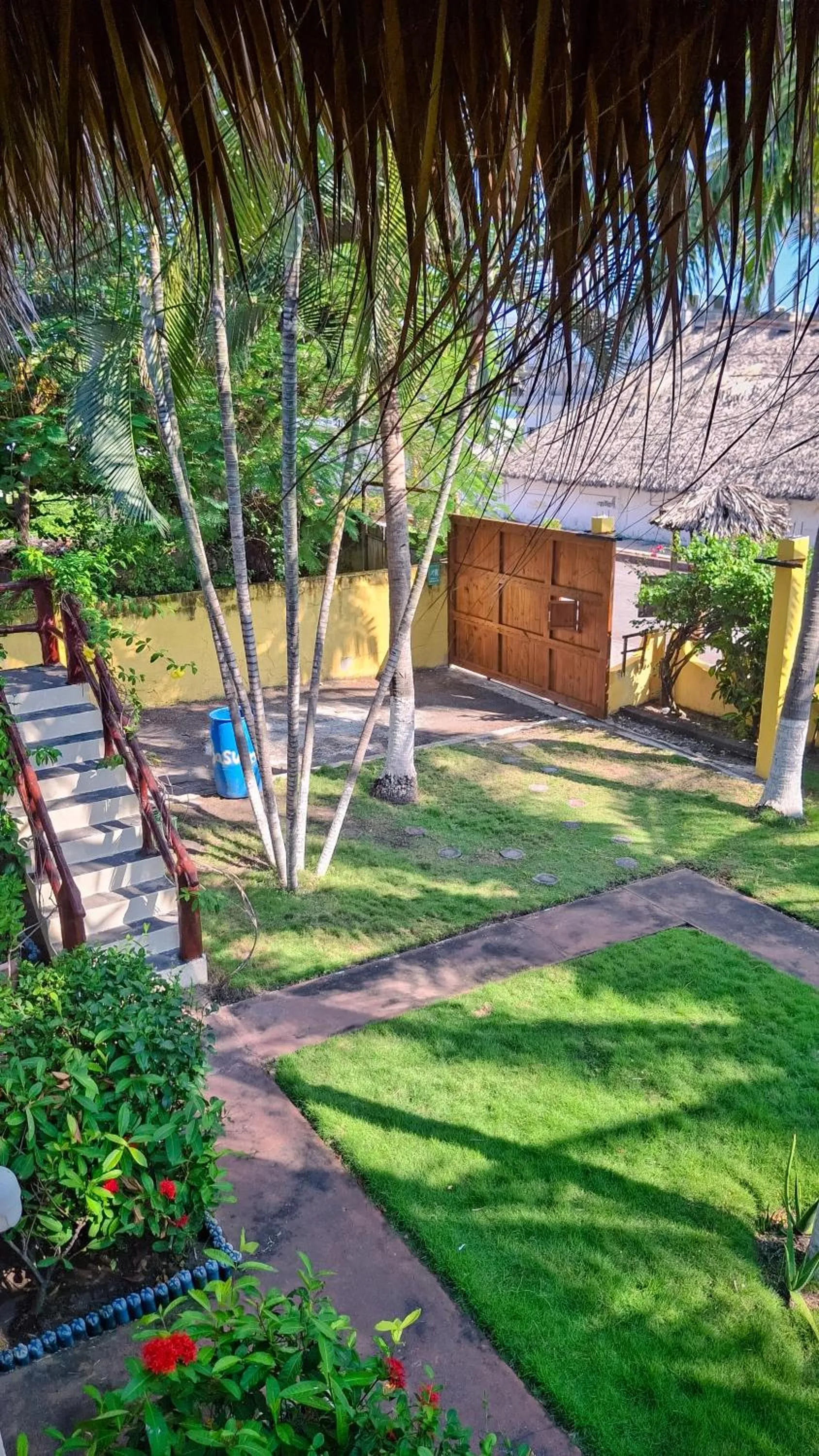 Garden in Hotel Cafe del Sol
