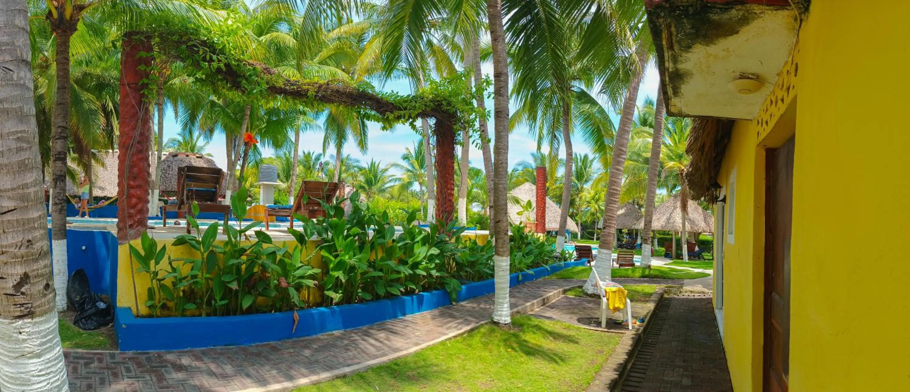 Garden in Hotel Cafe del Sol