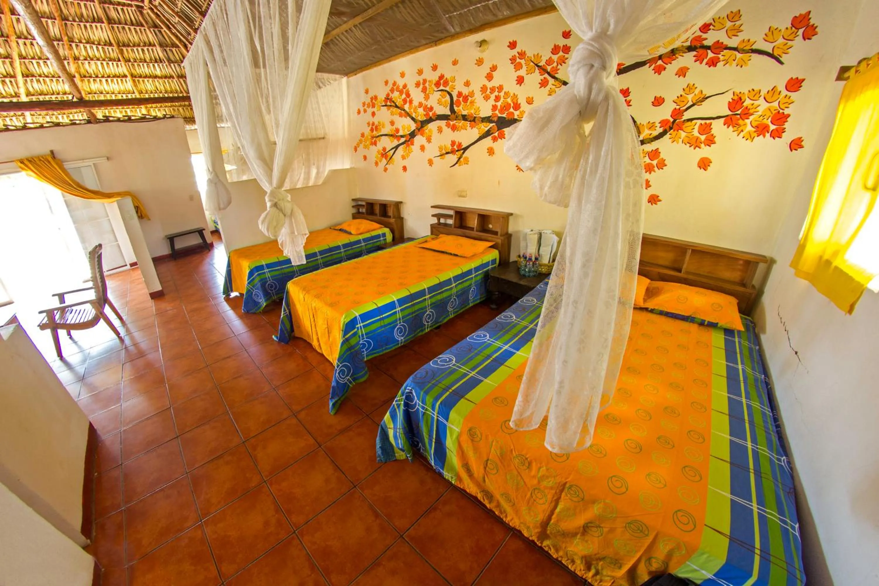 Photo of the whole room, Bed in Hotel Cafe del Sol