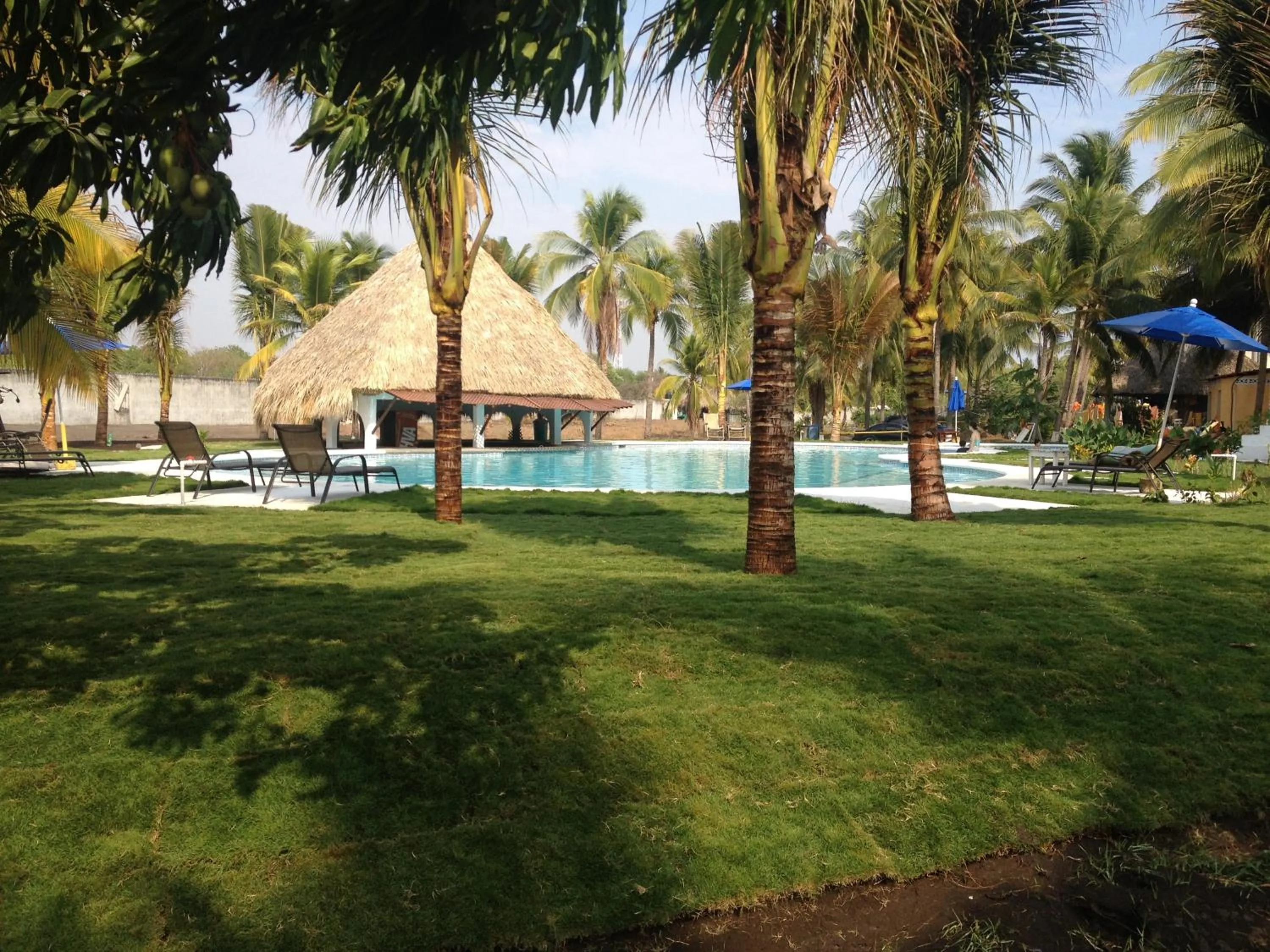Swimming pool in Hotel Cafe del Sol