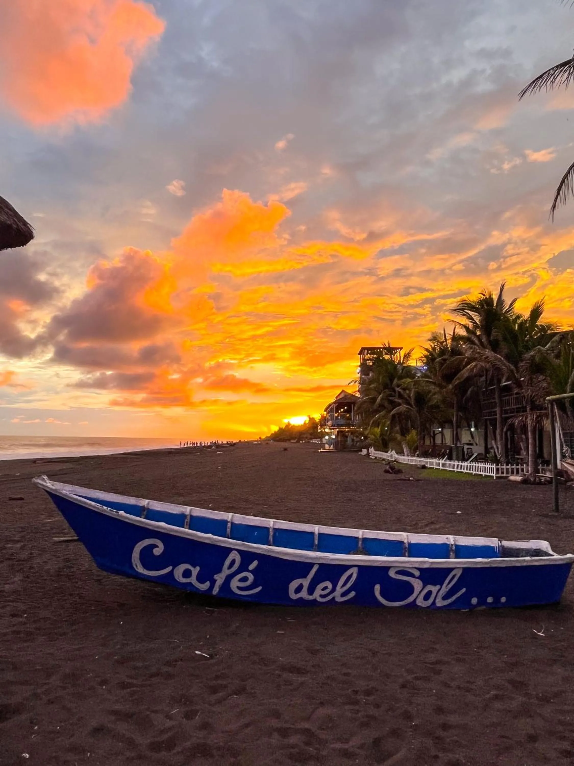 Beach in Hotel Cafe del Sol