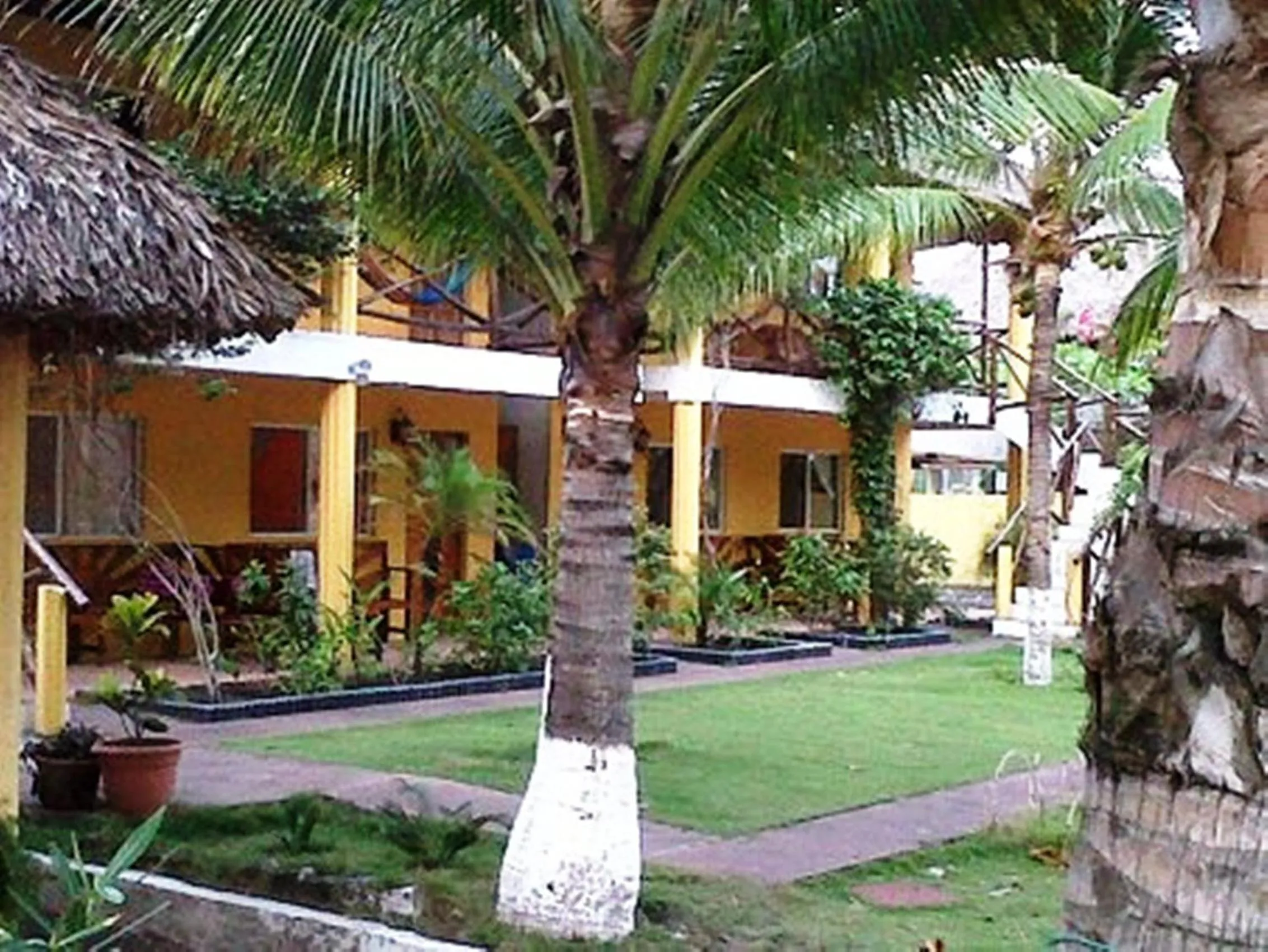 Garden in Hotel Cafe del Sol