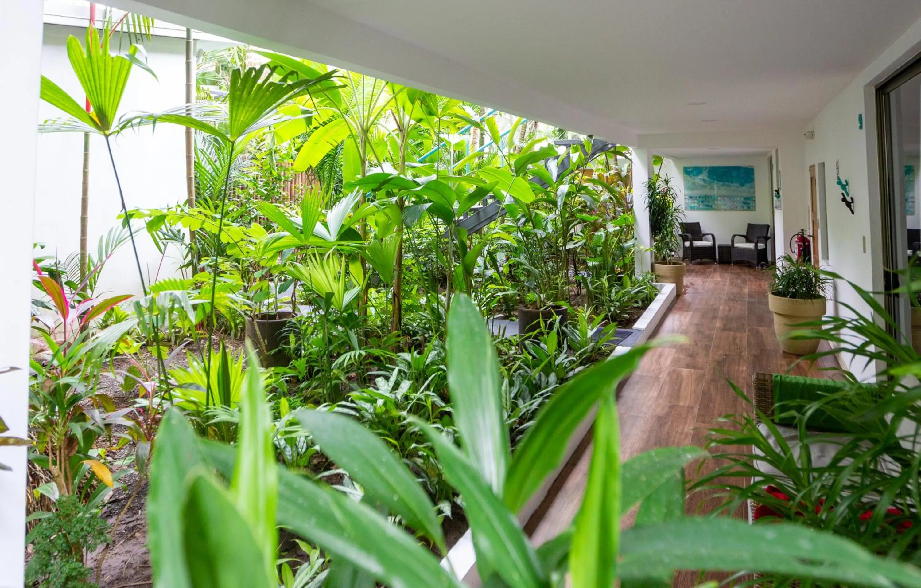 Garden in La Vela Boutique Hotel