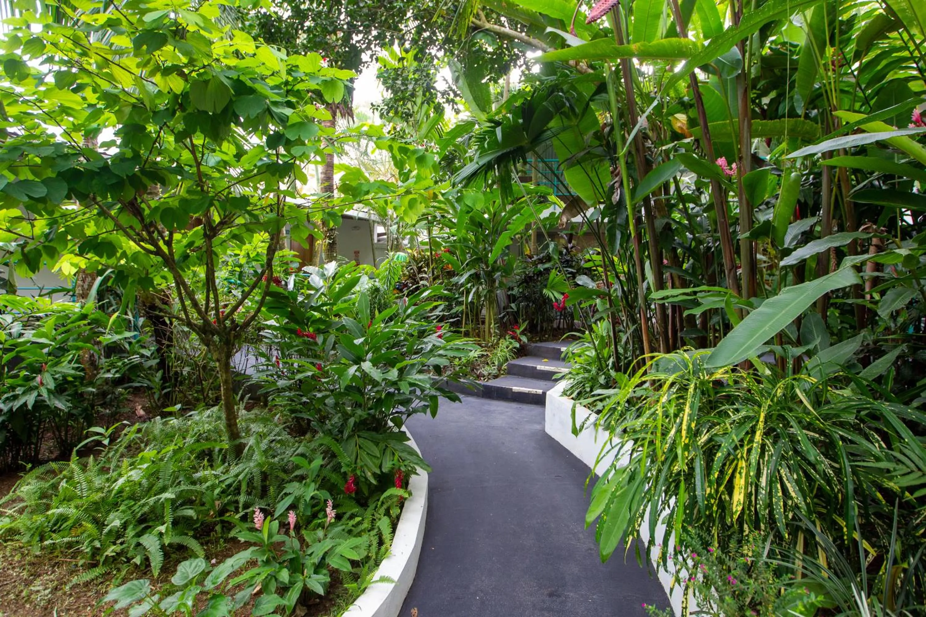 Garden in La Vela Boutique Hotel