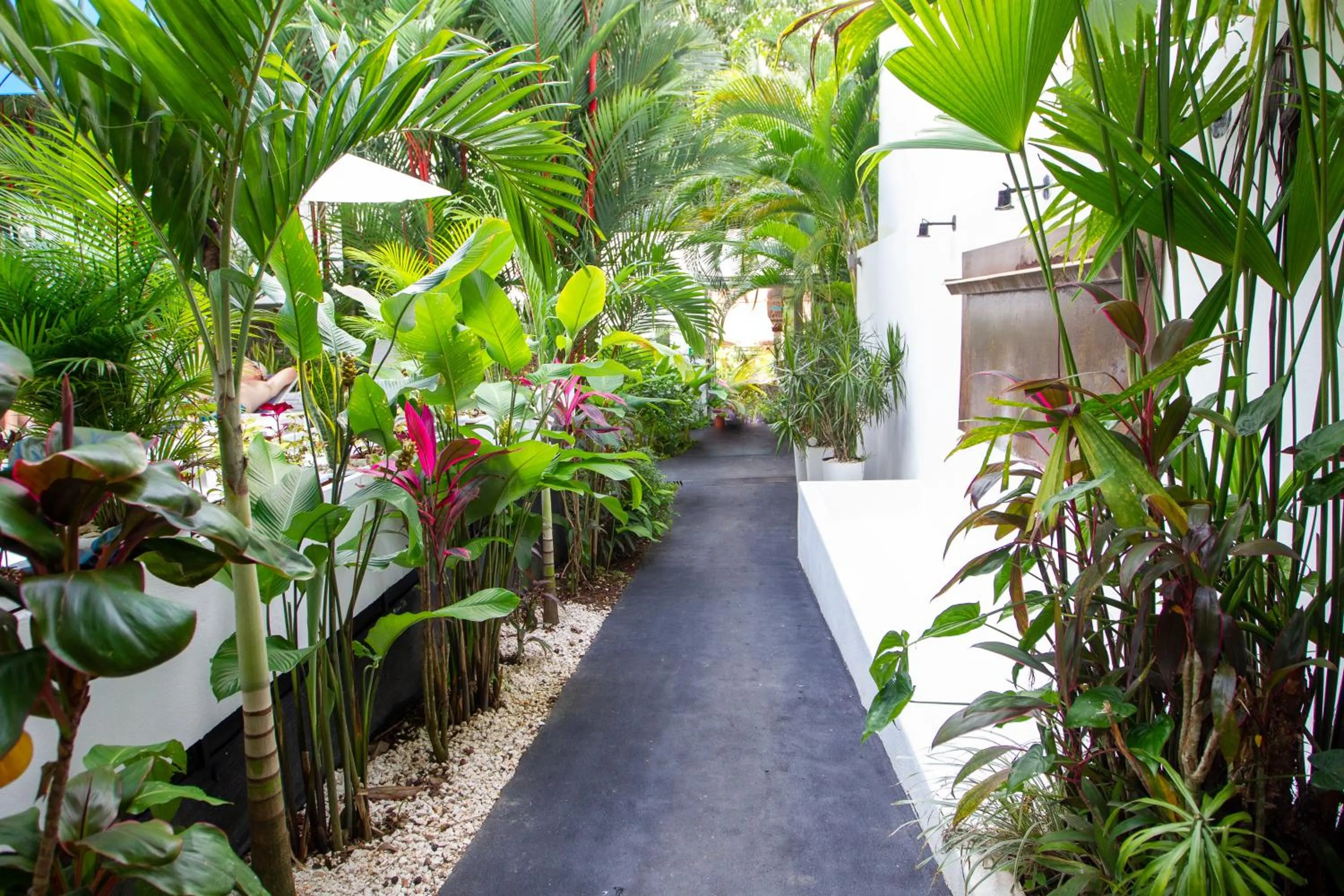 Garden in La Vela Boutique Hotel