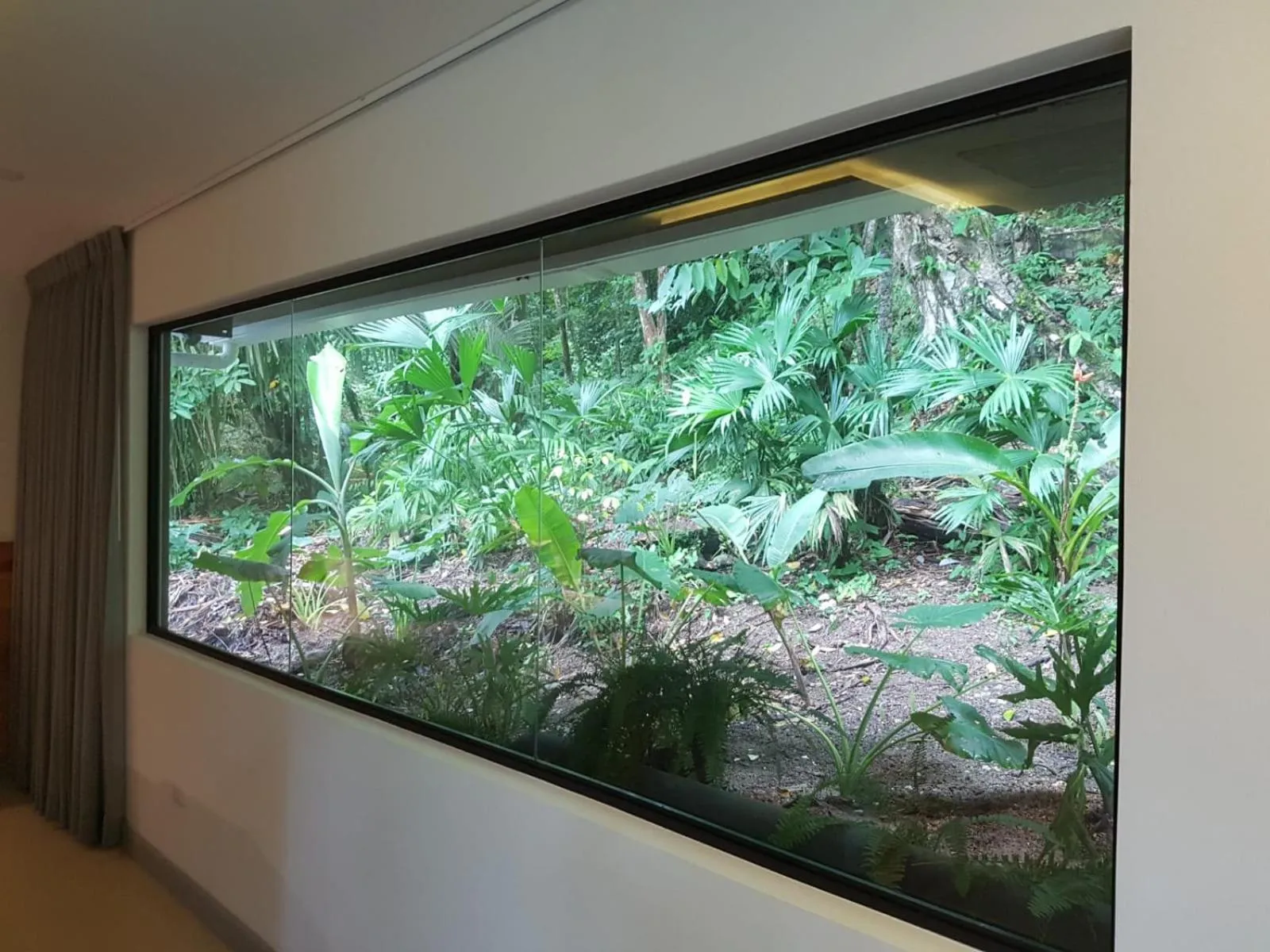 Garden in La Vela Boutique Hotel