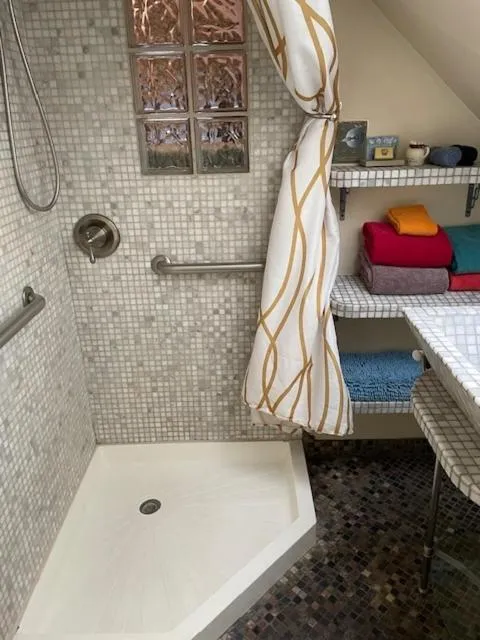 Shower in Ray's Bucktown Bed and Breakfast