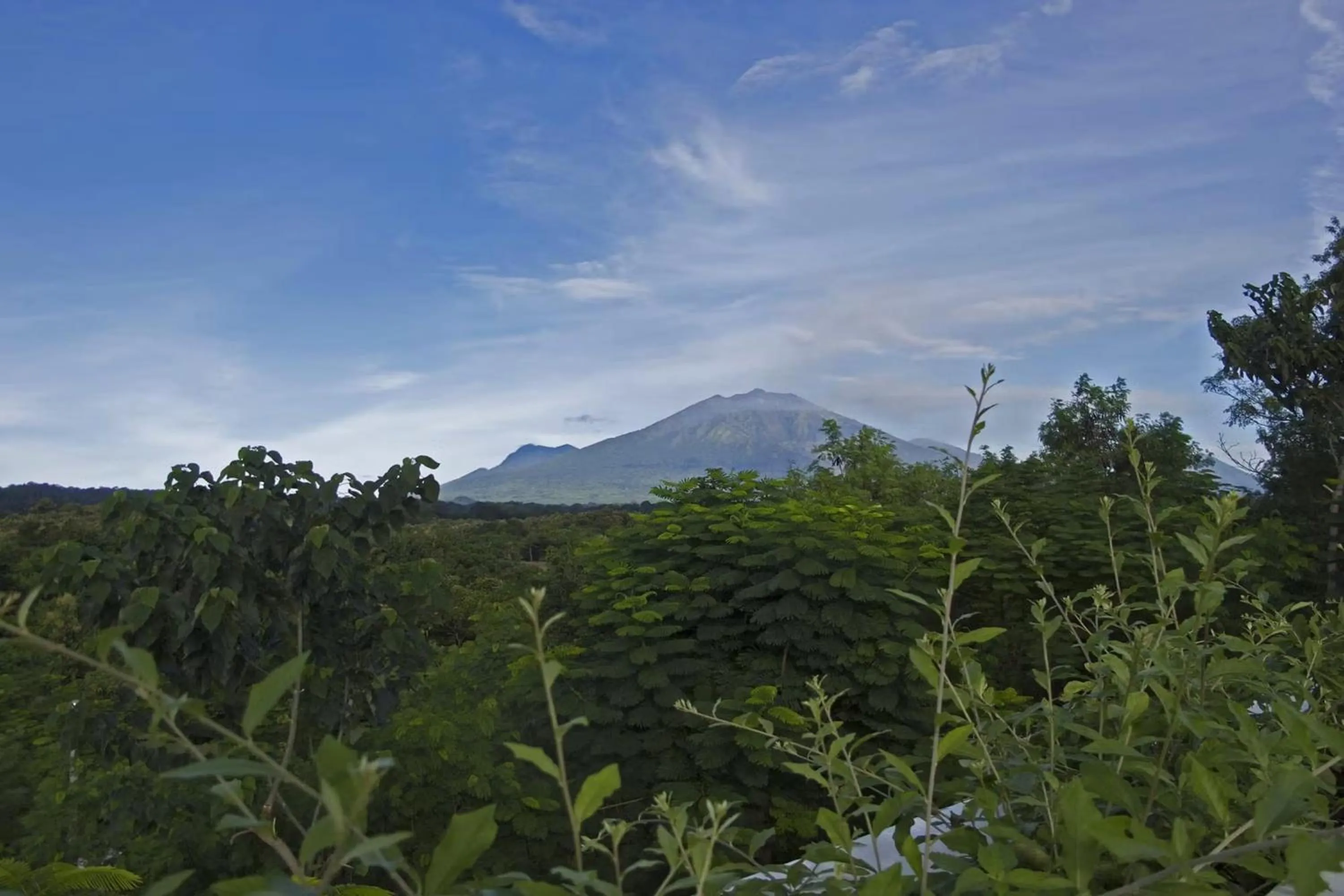 Natural landscape in Bangsring Breeze