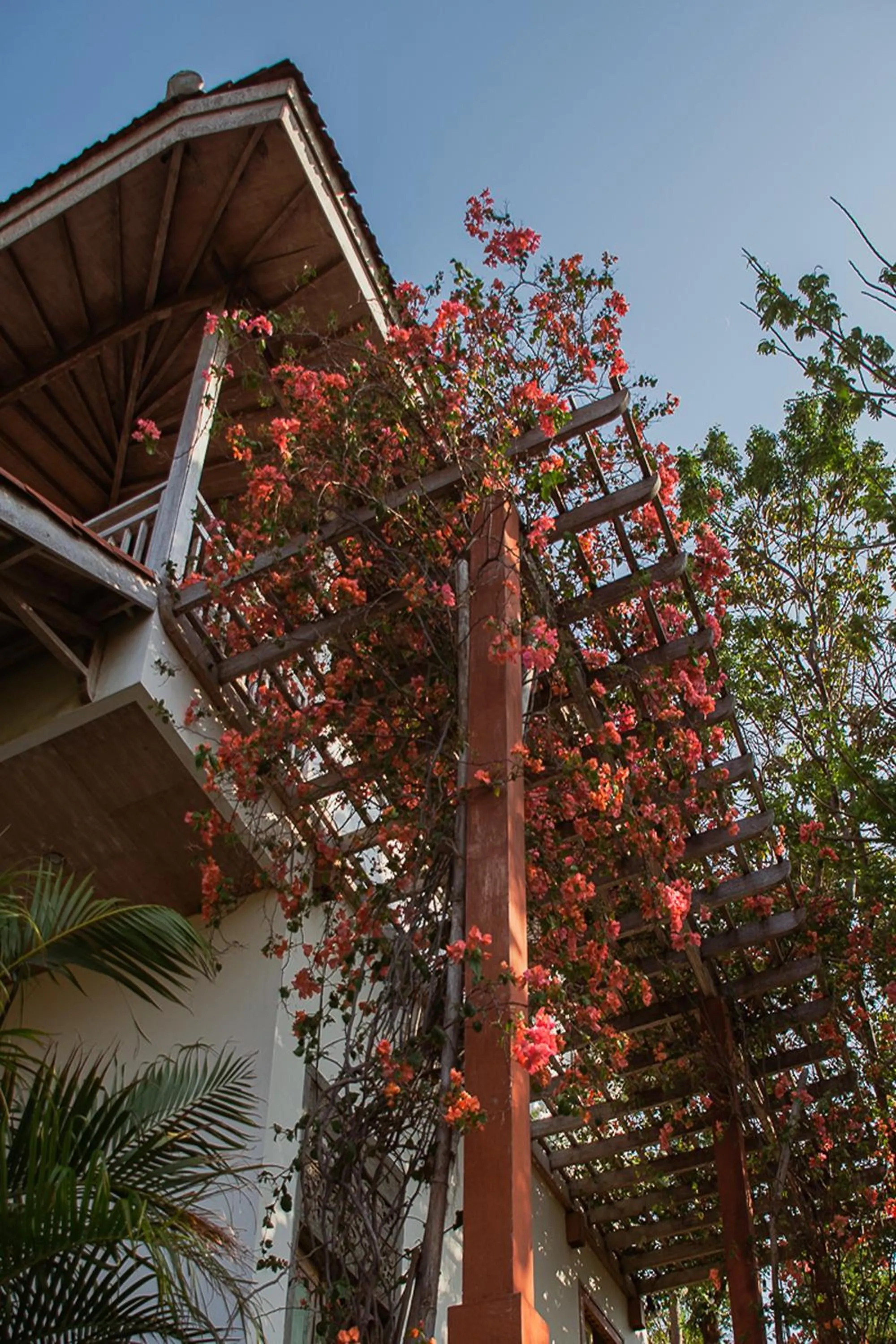 Property building in Bangsring Breeze