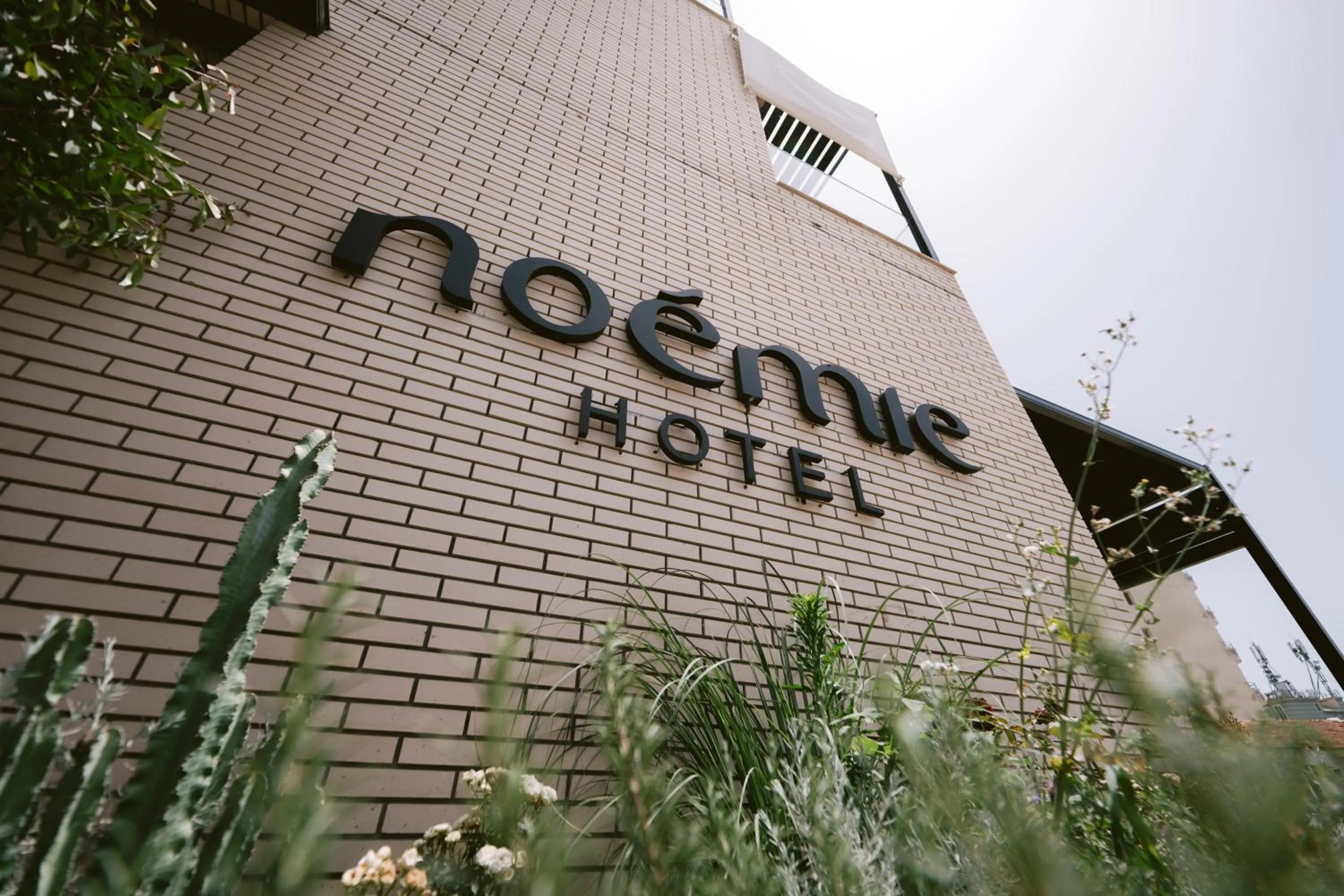 Street view in Noemie Hotel