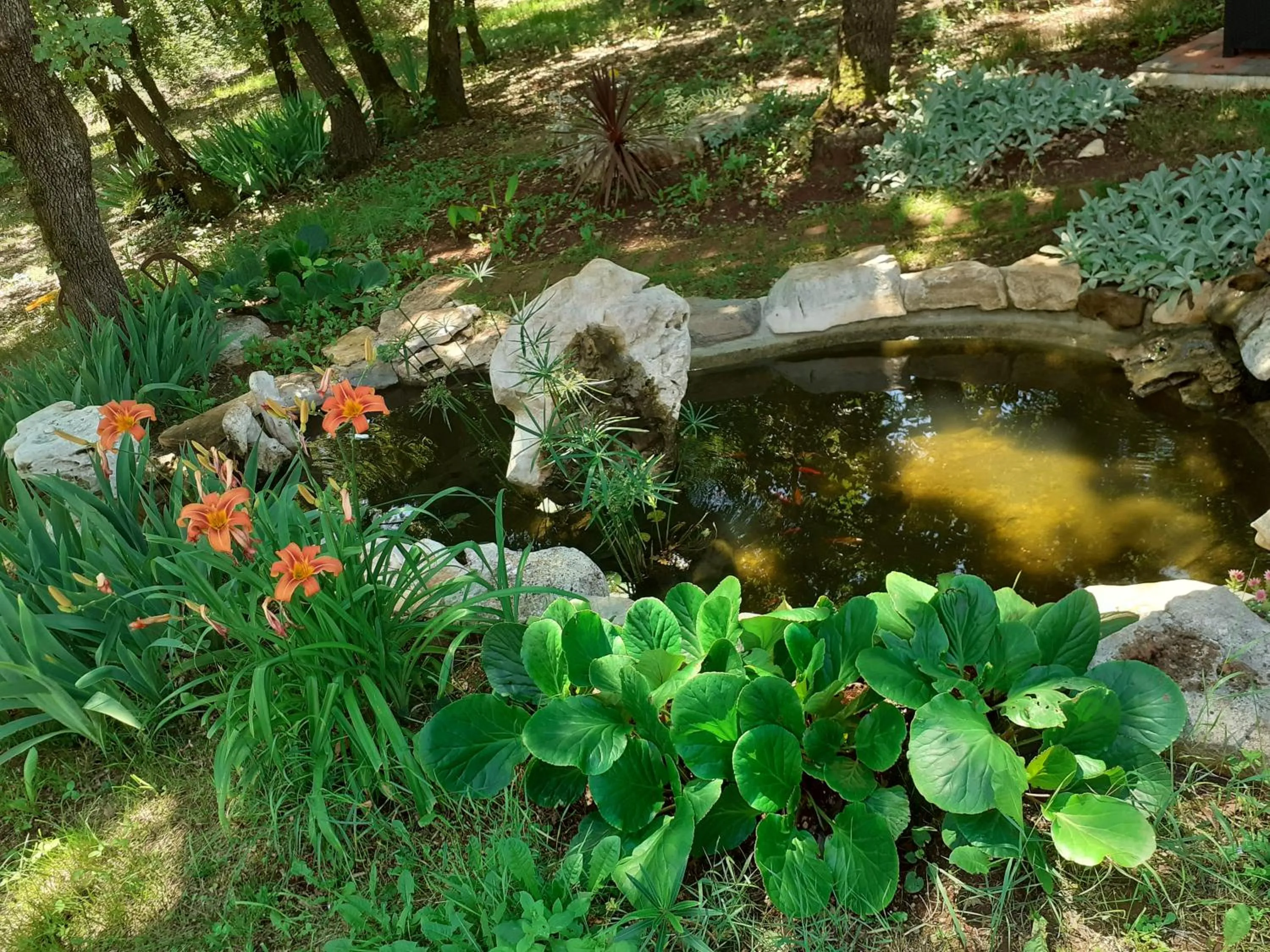 Natural landscape in Bed and breakfast Julia