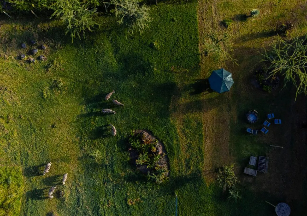 Bird's eye view in Lake Naivasha Resort