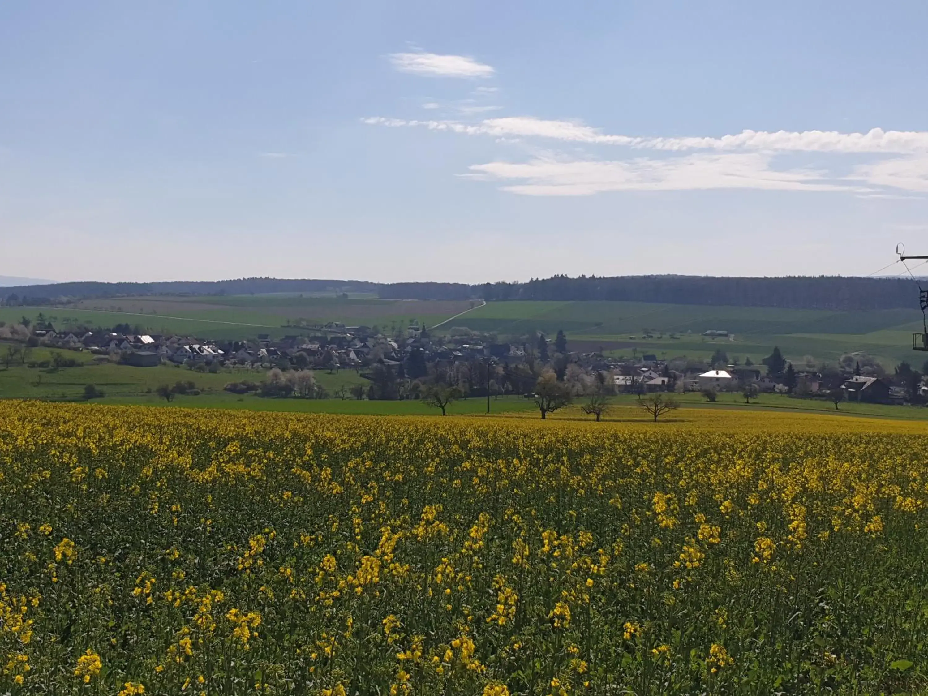 Neighbourhood in Pension Zum Adler Neighbourhood in Pension Zum Adler