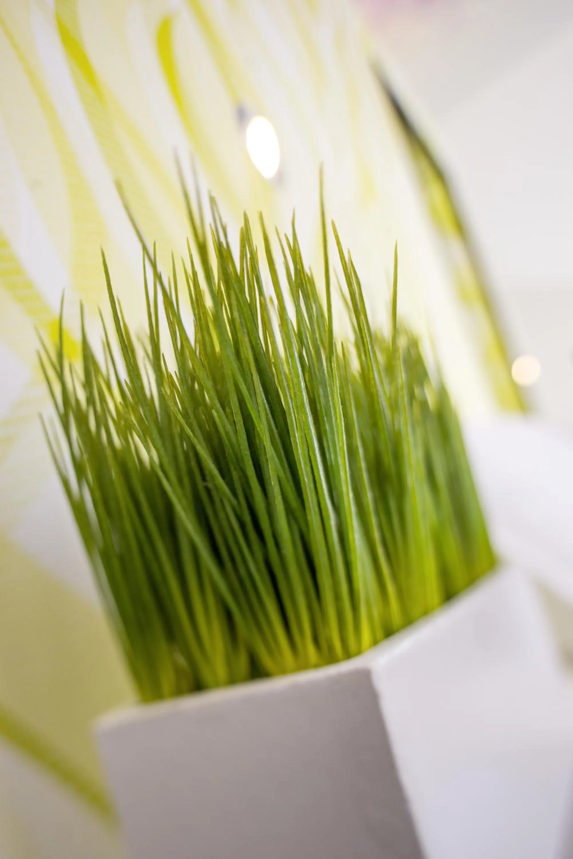 Decorative detail in Hotel Landgasthof König von Preussen