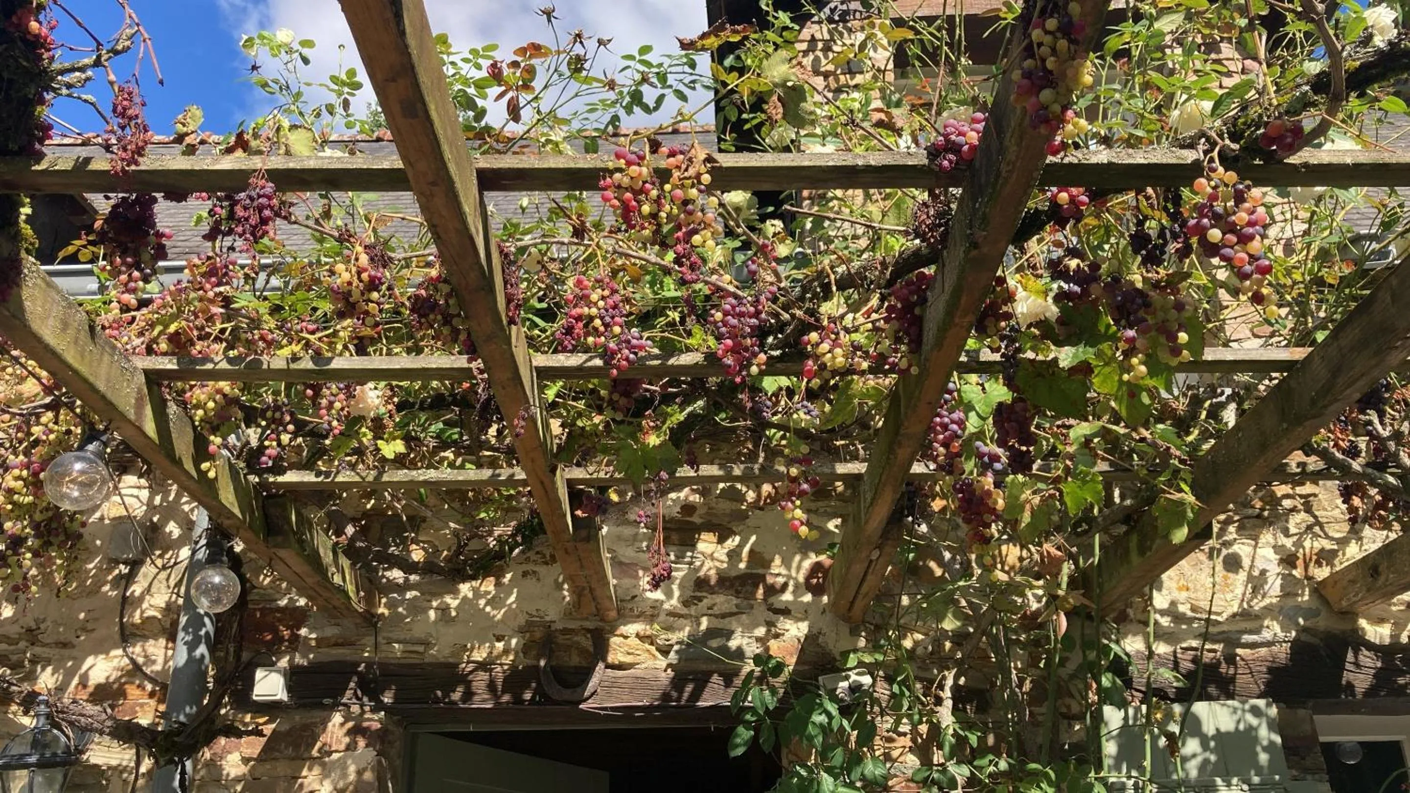 Patio in Chambres d'Hotes - La Marmoire