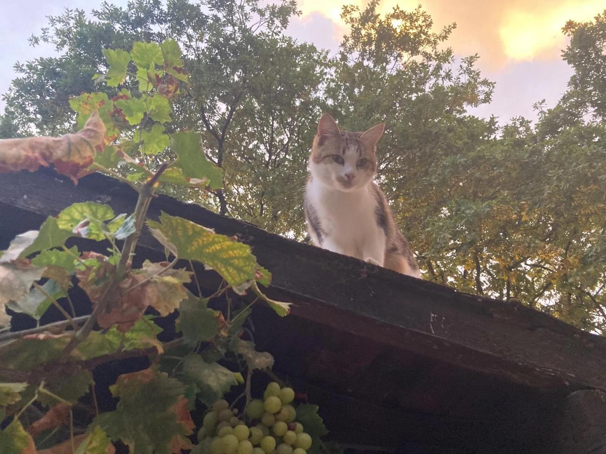 Property building in Chambres d'Hotes - La Marmoire