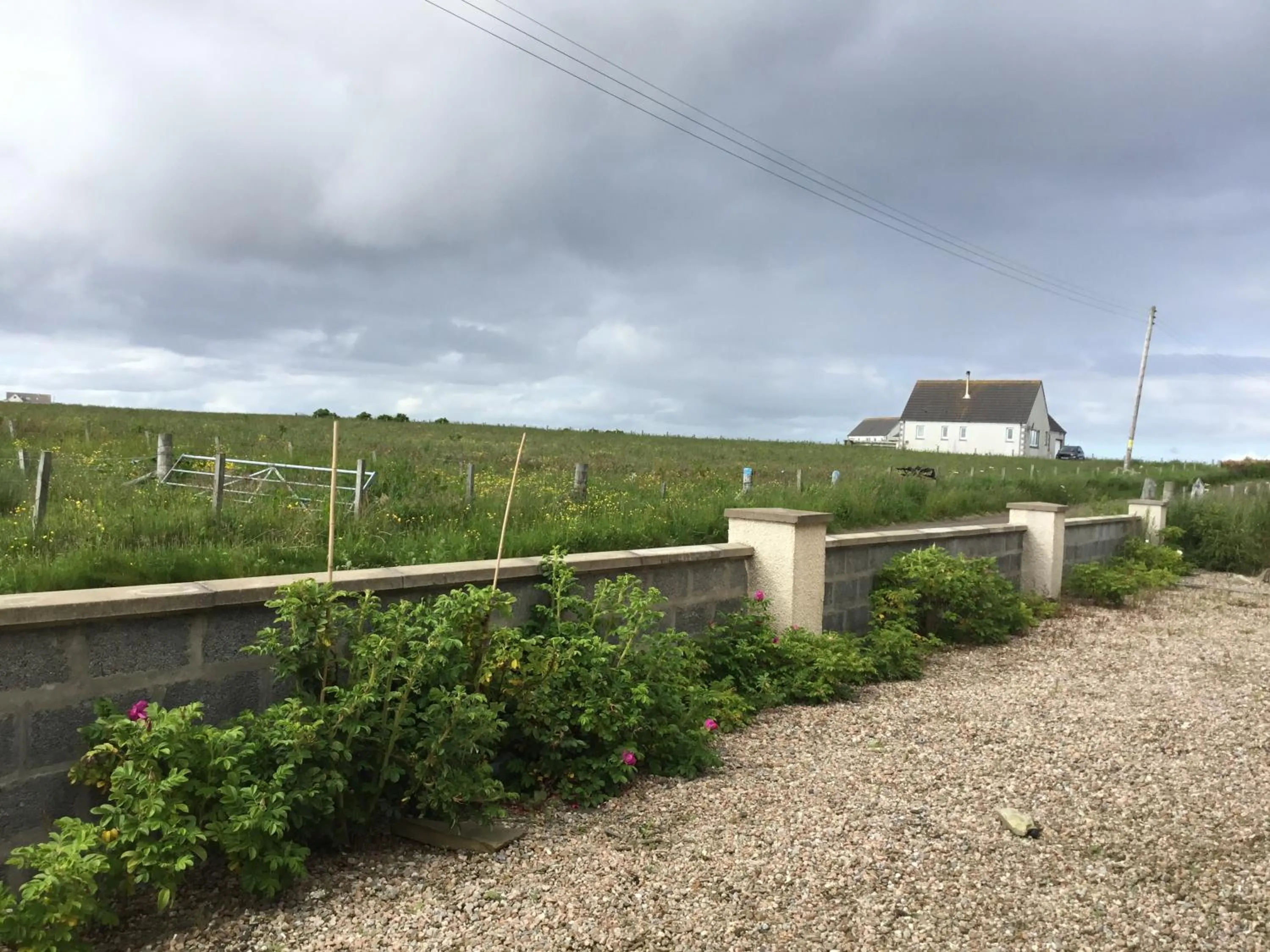 Garden view in A Castle View