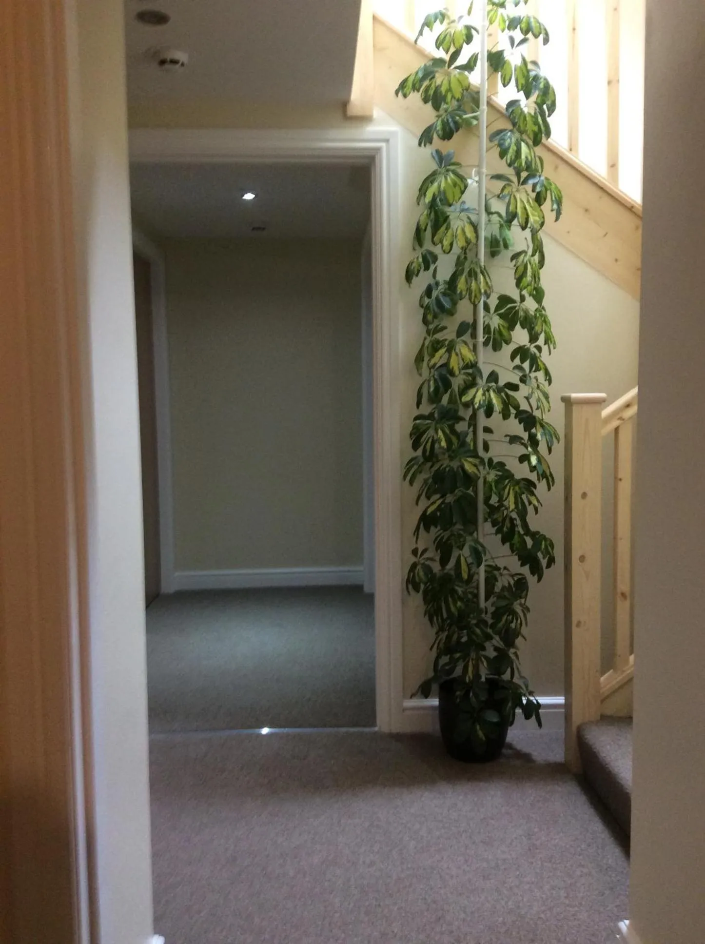 Lobby or reception in A Castle View