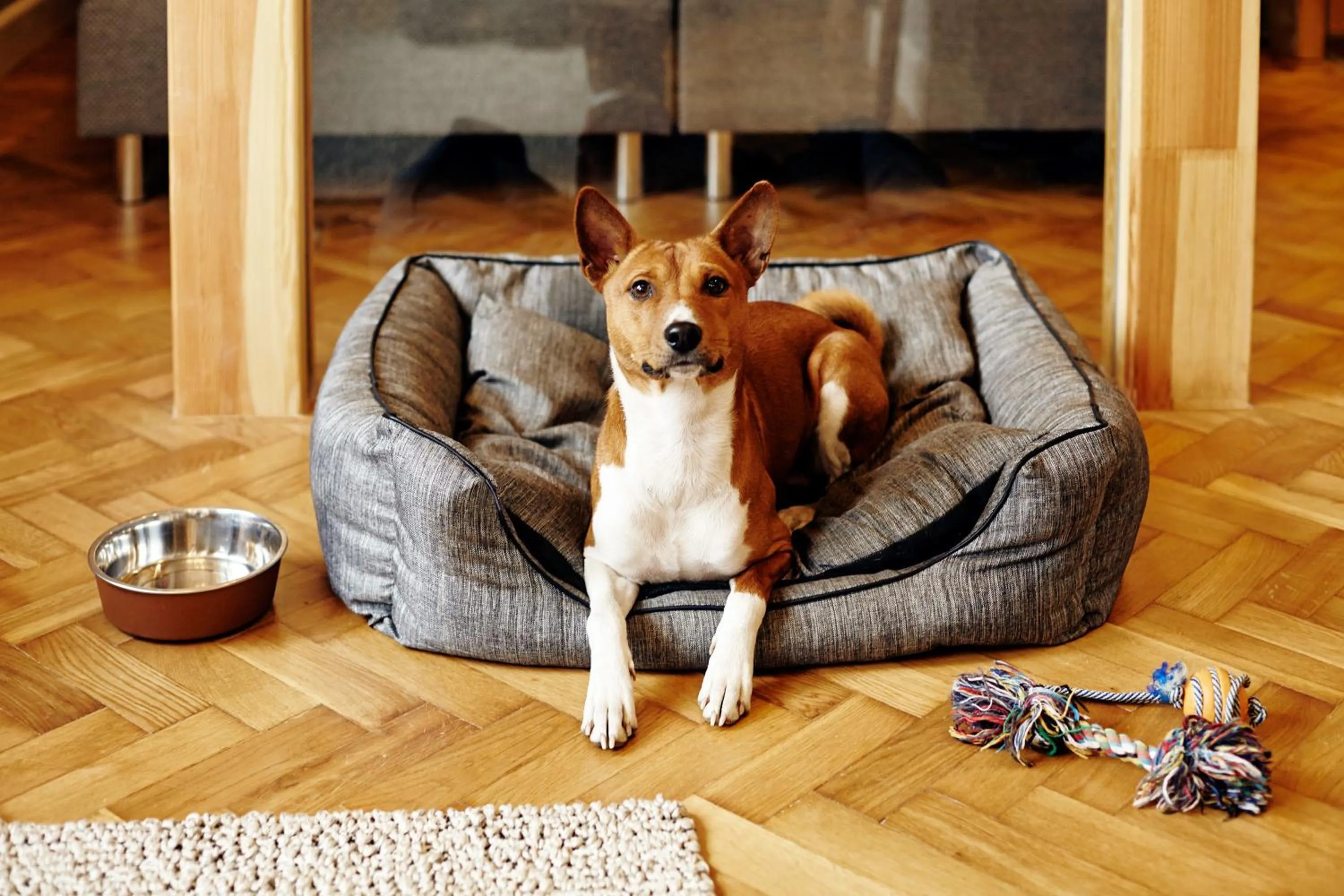 Other in SleepWell Ordynacka