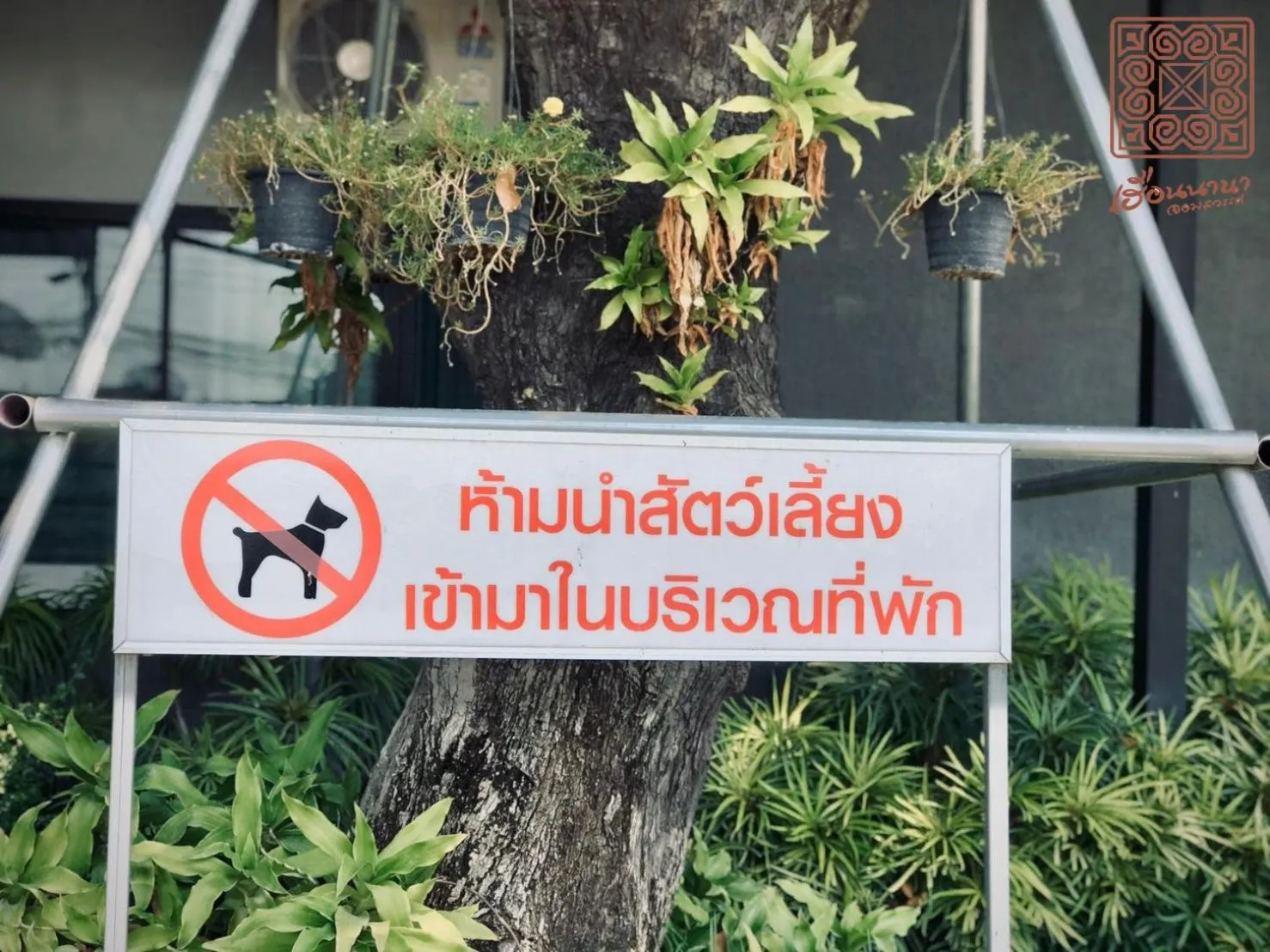 Natural landscape in Huern Nana Jomsawan