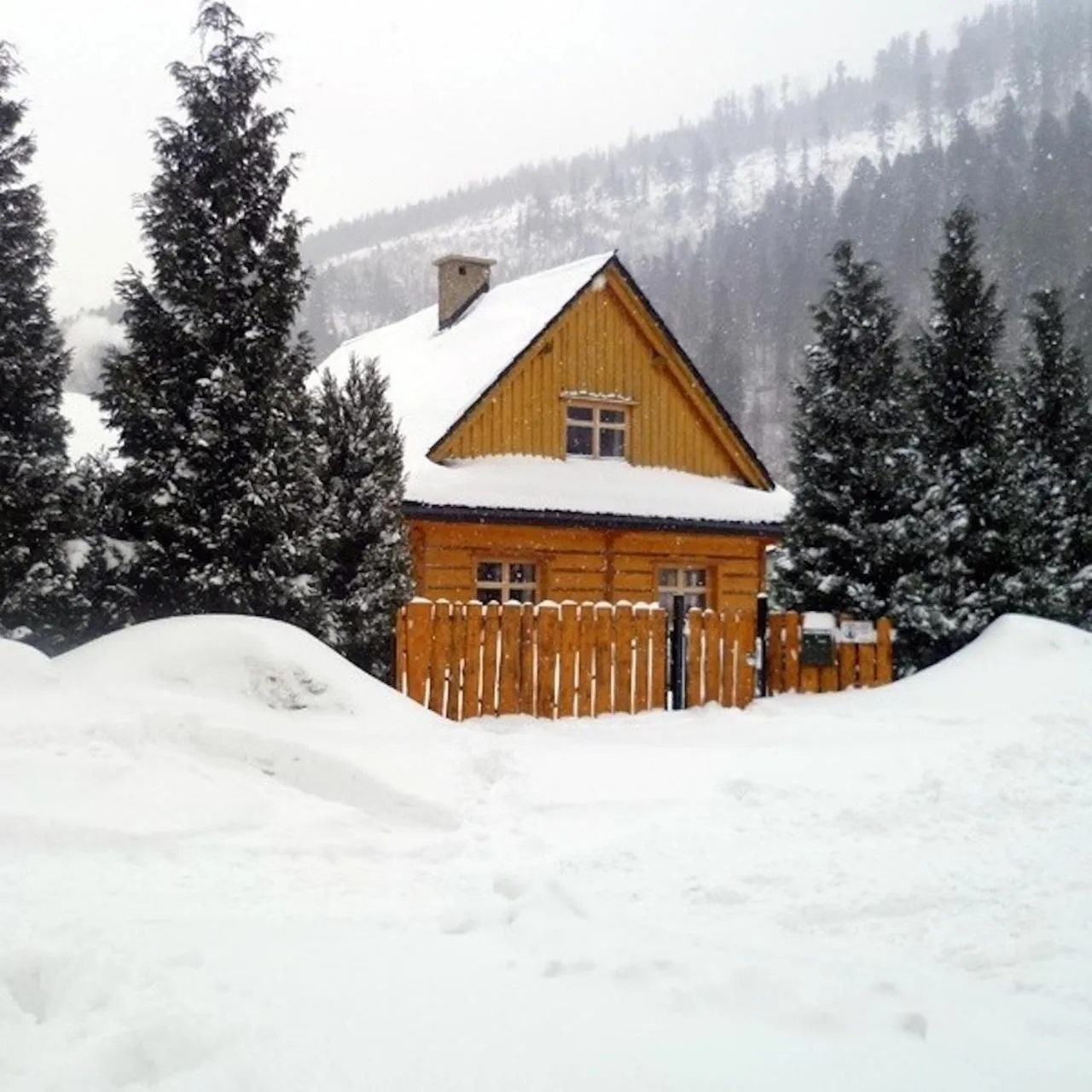 Property building in Sno House