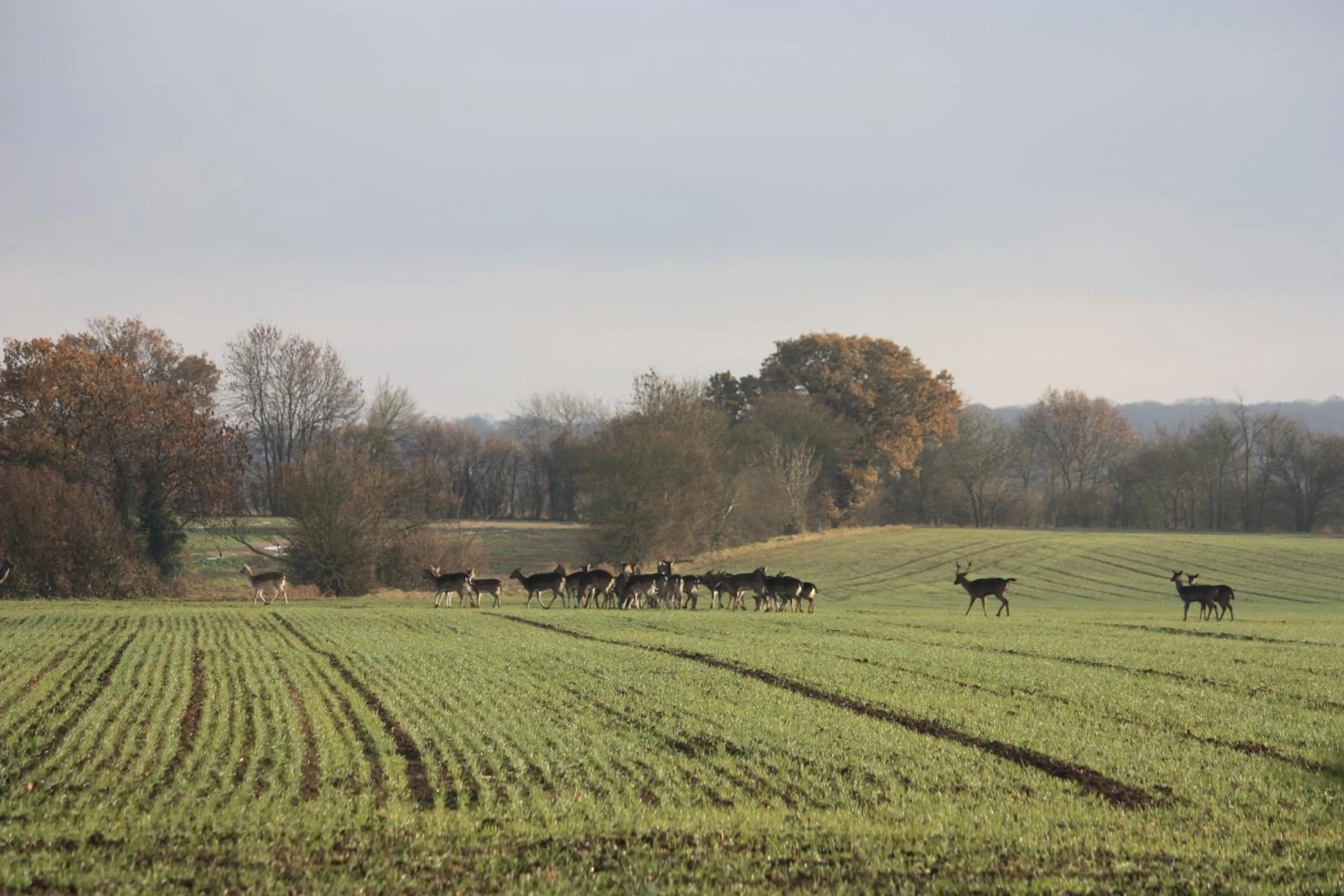 Area and facilities in Puttocks Farm