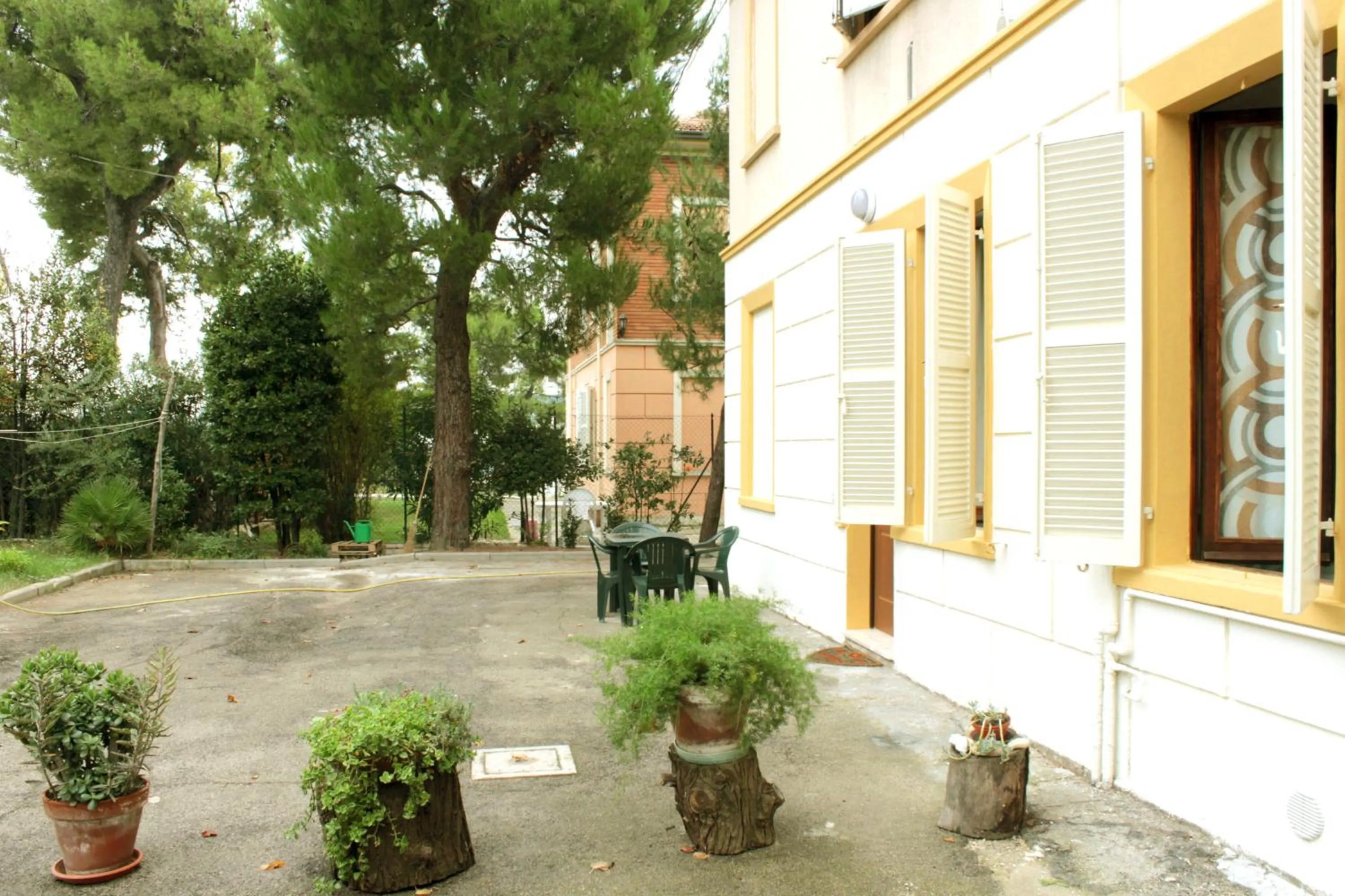 Pino Marittimo