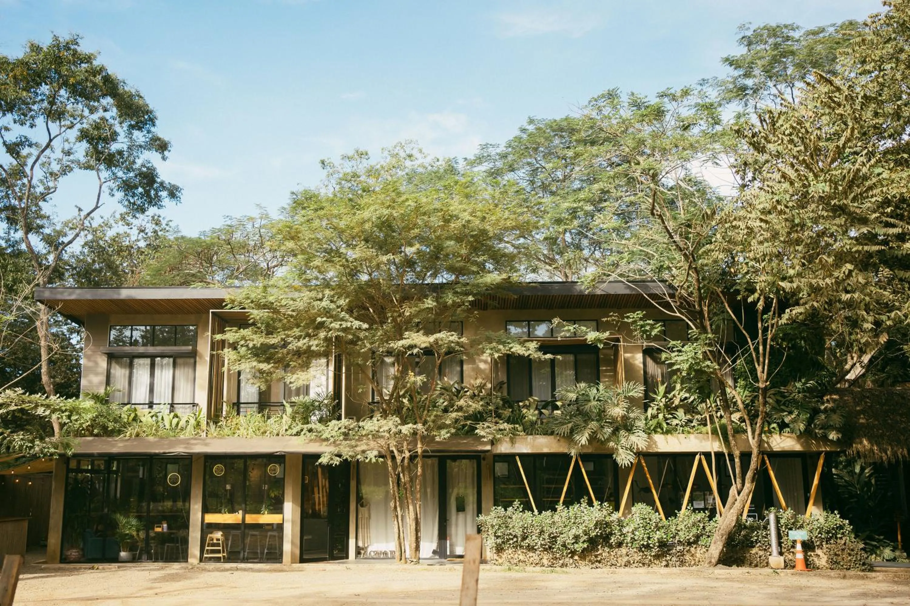 Mar Botánico - Avellanas Beach Hotel