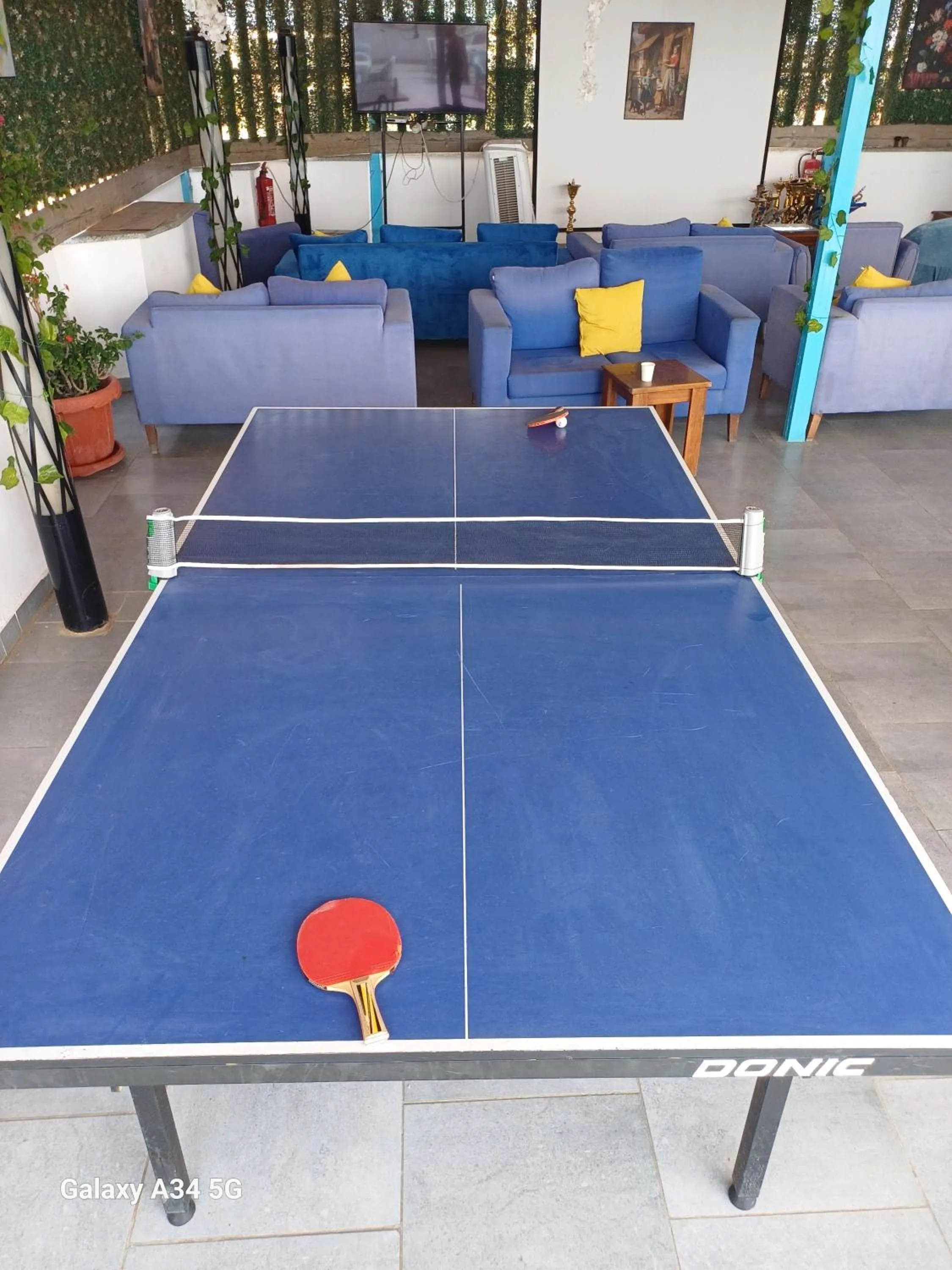 Table tennis in Palm Inn Hotel Hurghda