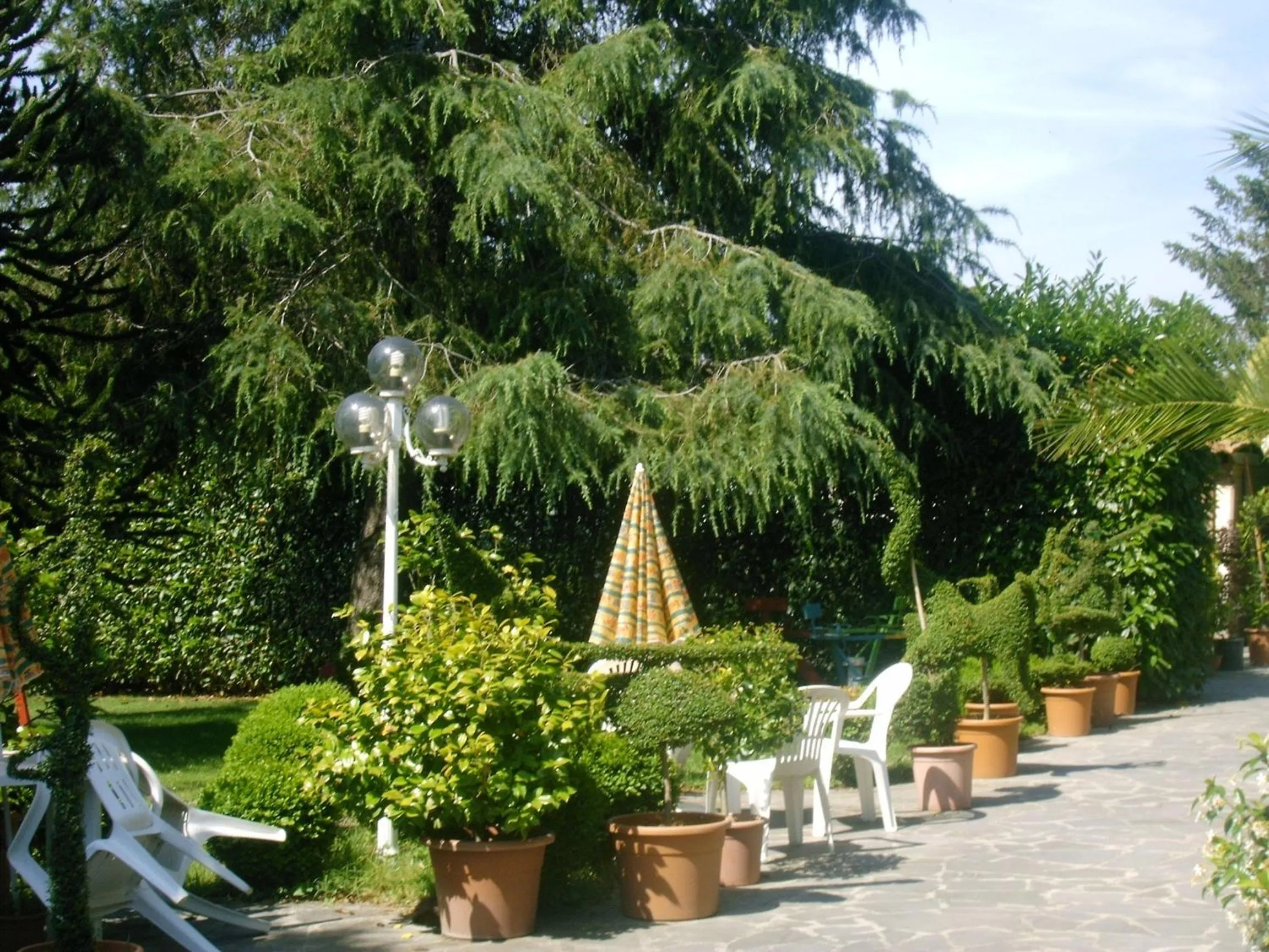 Patio in Forum Cassii