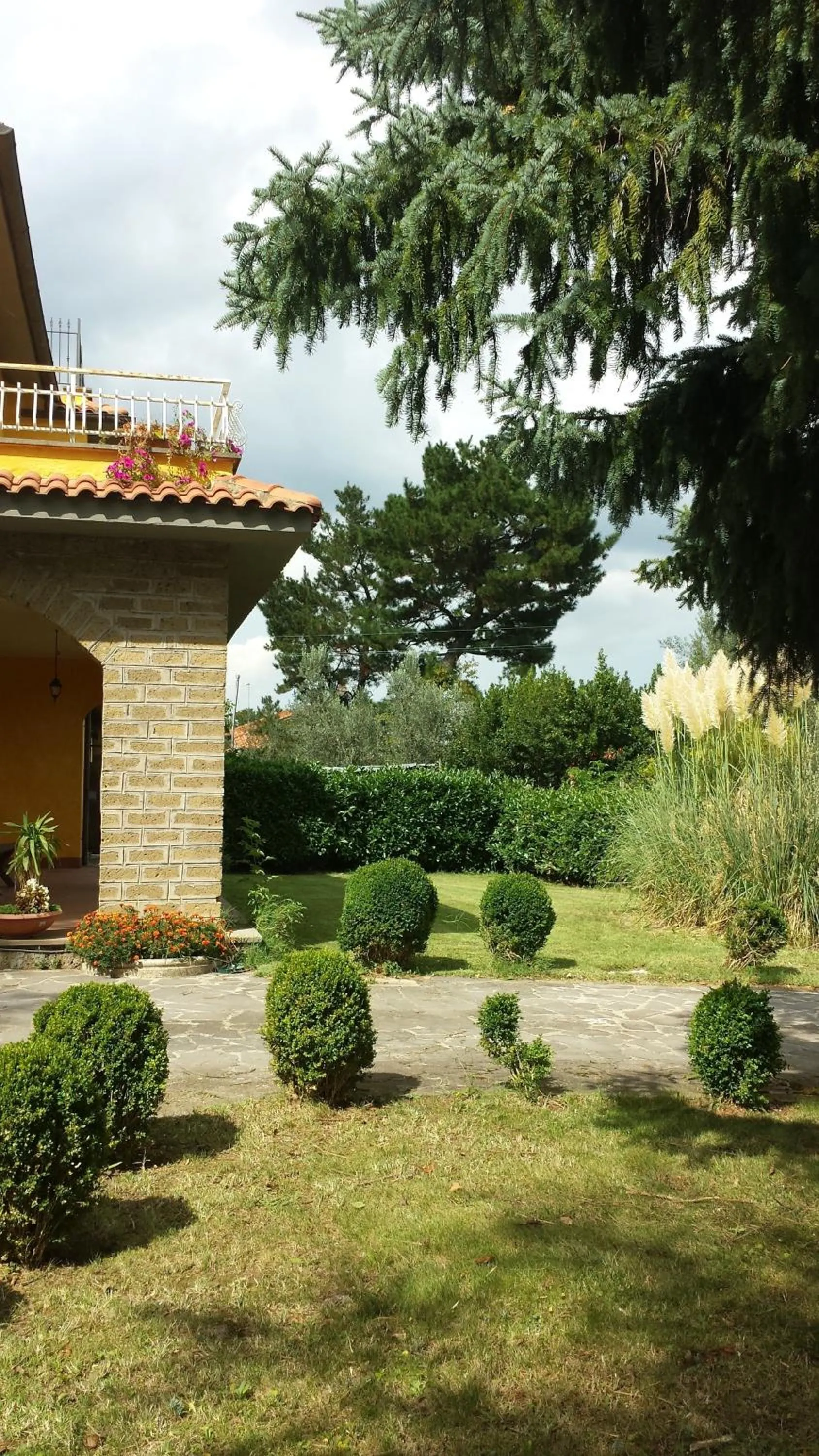 Facade/entrance in Forum Cassii