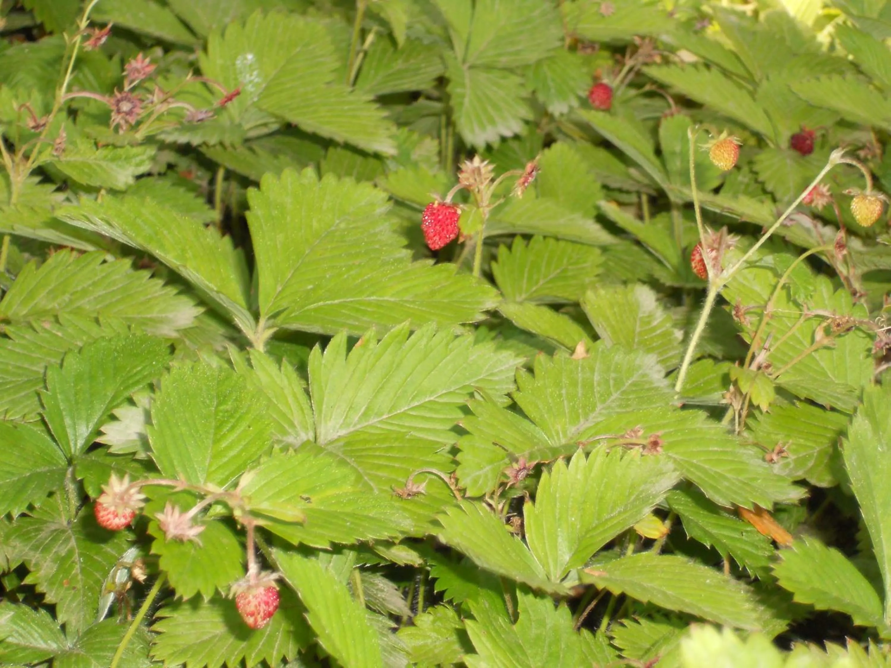 View (from property/room) in L'Infinito Agriturismo - Rooms & Breakfast