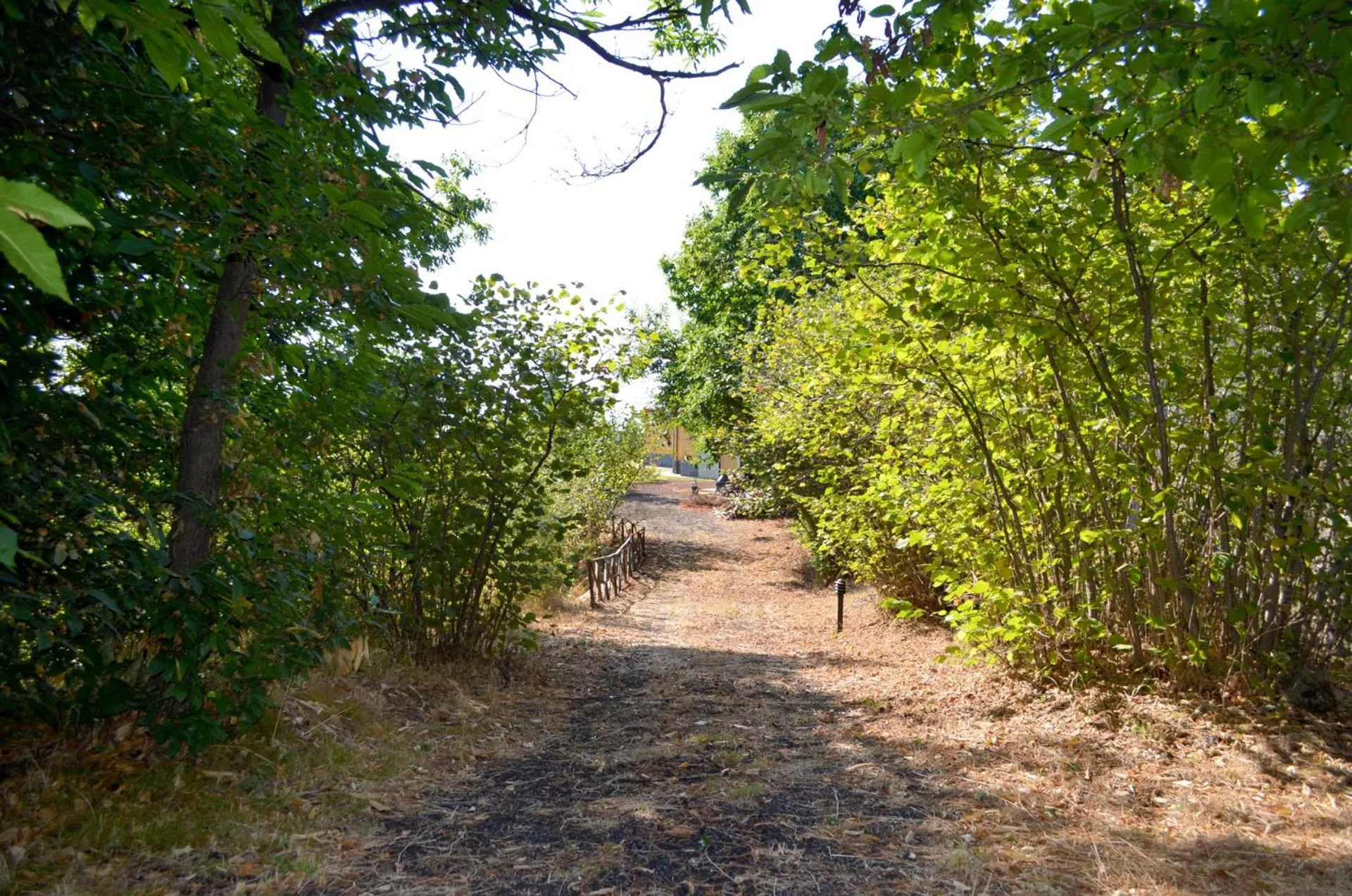 Natural landscape in L'Infinito Agriturismo - Rooms & Breakfast