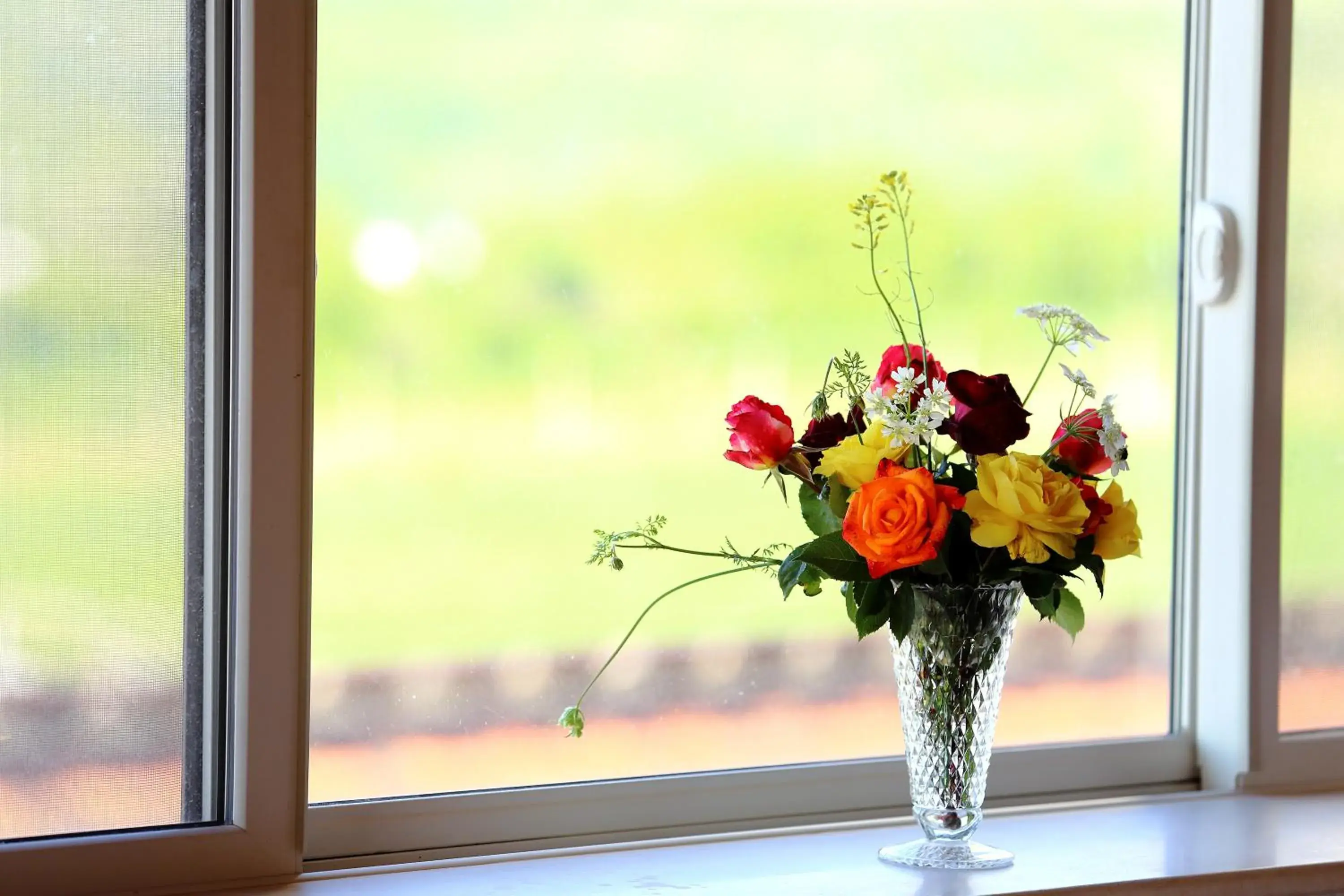 Corner Suite with Terrace and Vineyards & River View in Seven Generations Winery Hotel Corner Suite with Terrace and Vineyards & River View in Seven Generations Winery Hotel