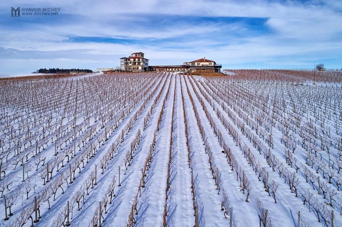 Winter in Seven Generations Winery Hotel