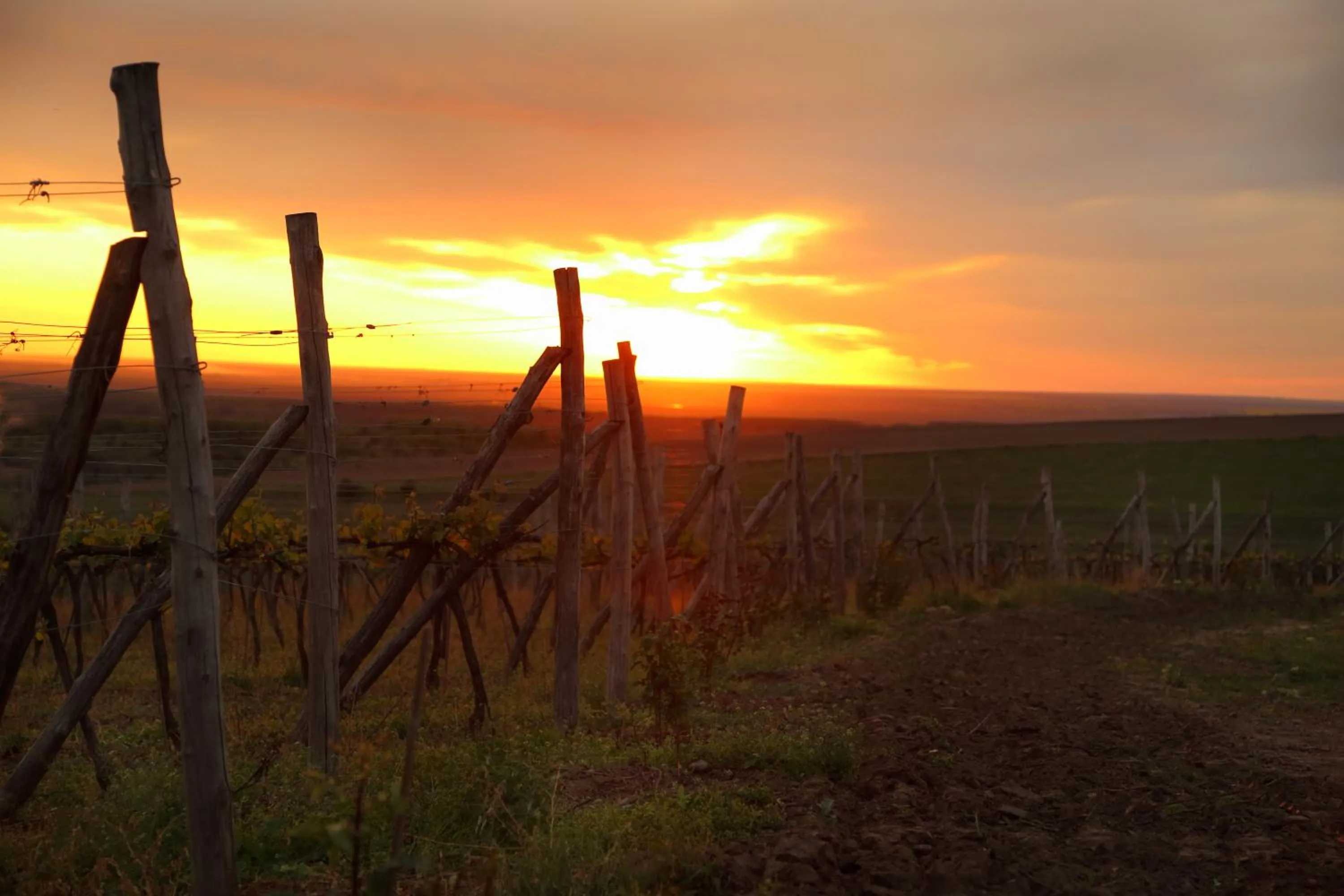 Landmark view in Seven Generations Winery Hotel