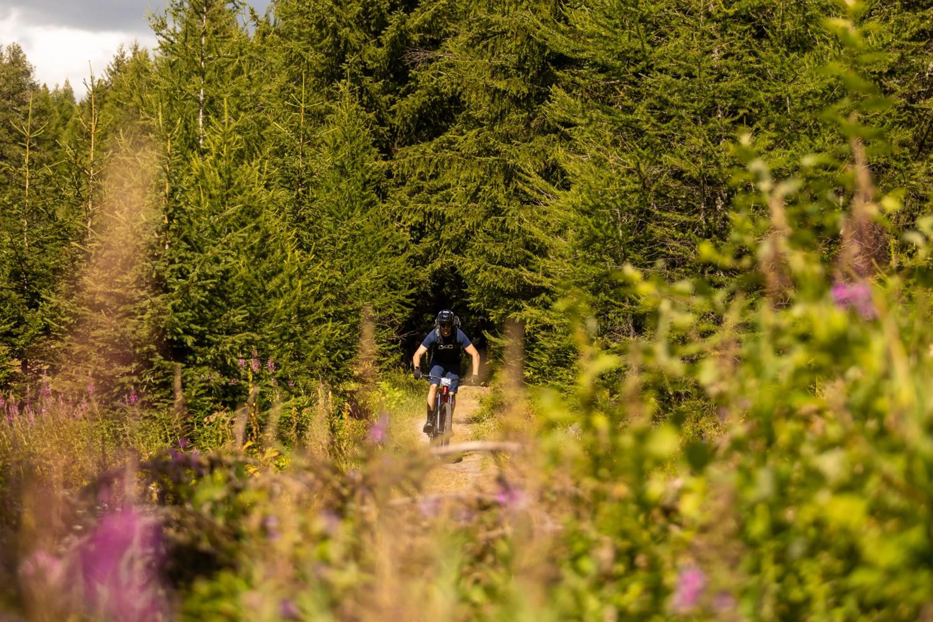 Cycling in Montana Lodge & Spa, by R Collection Hotels