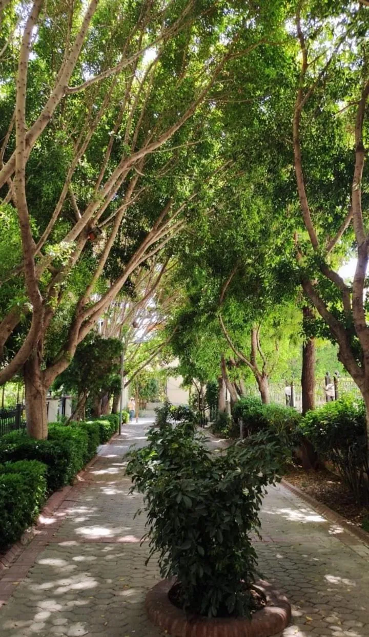 Garden in Alanya Sunset Hotels