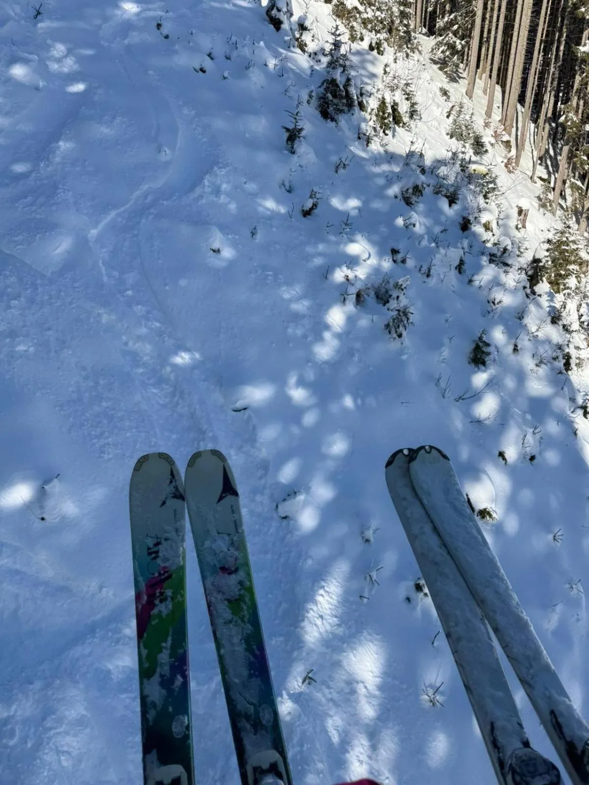 Skiing in Hotel Bergglück