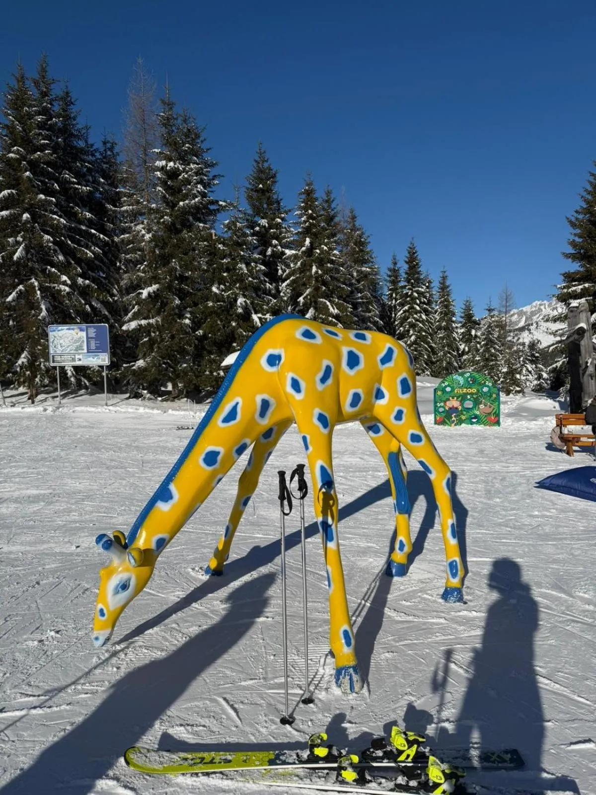 Skiing in Hotel Bergglück