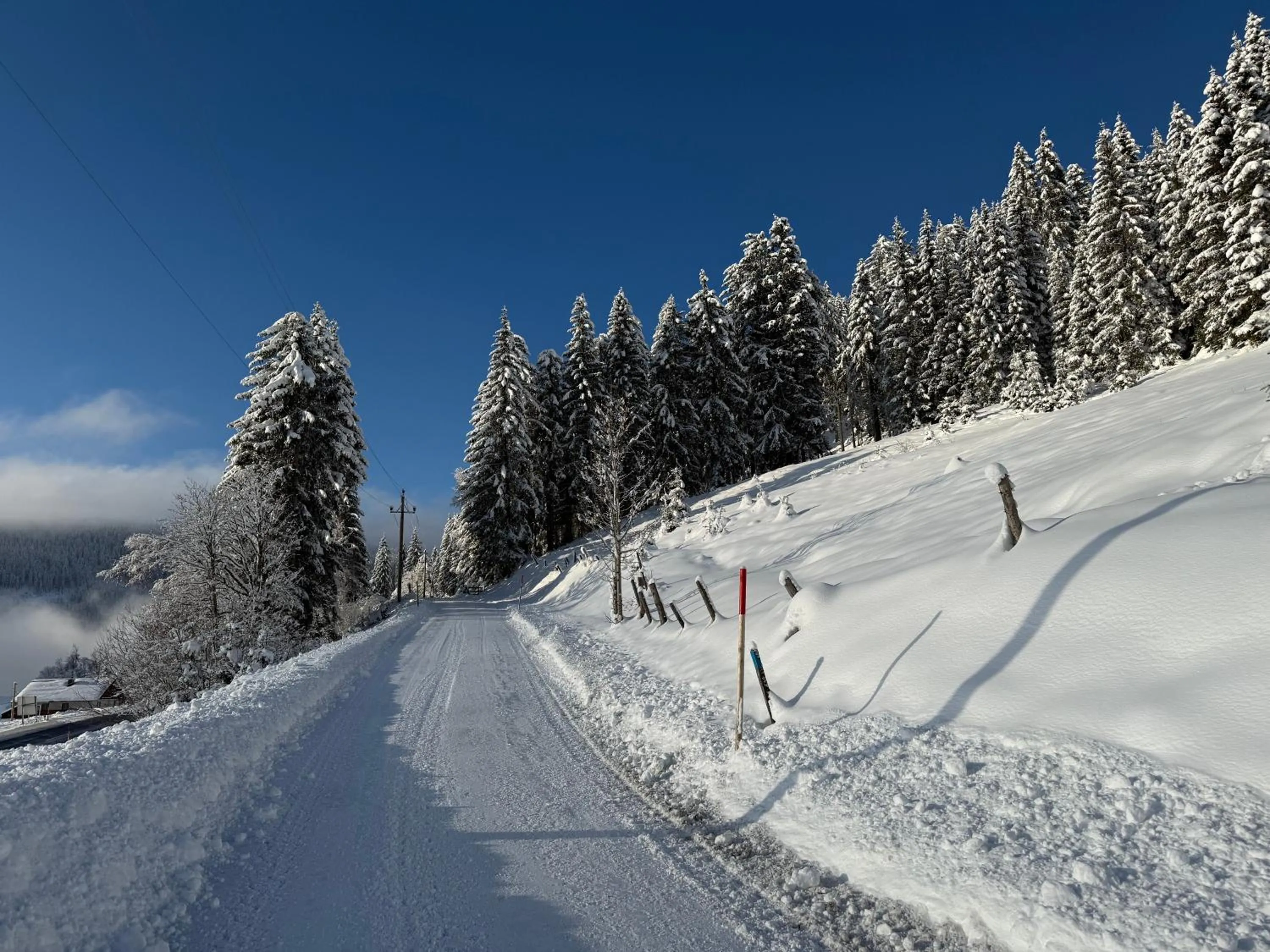 Natural landscape in Hotel Bergglück